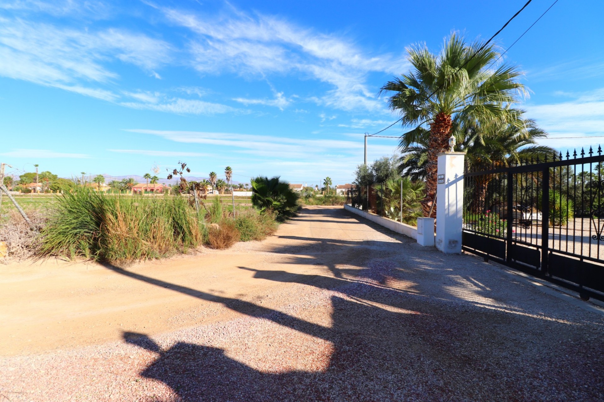 Reventa - Casa de Campo - Catral - Catral - Campo