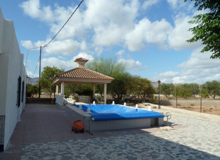 Reventa - Casa de Campo - Crevillente - Crevillente - Campo