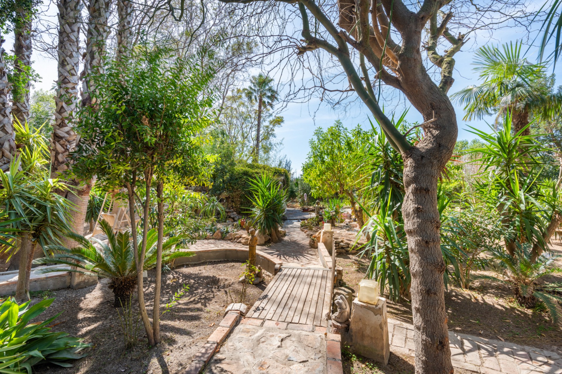 Reventa - Casa de Campo - Daya Nueva - Daya Nueva - Campo