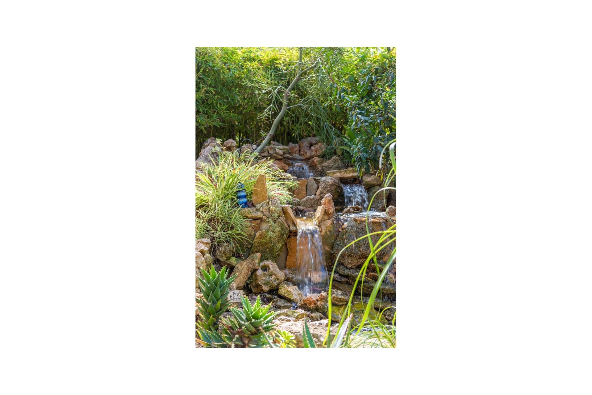 Reventa - Casa de Campo - Daya Nueva - Daya Nueva - Campo