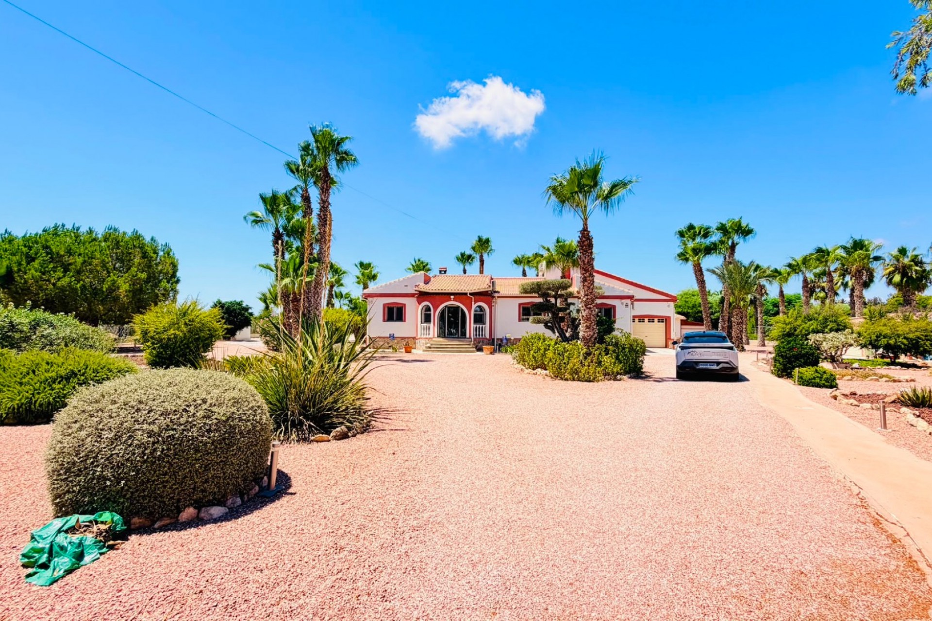 Reventa - Casa de Campo - Daya Vieja - Daya Vieja - Campo