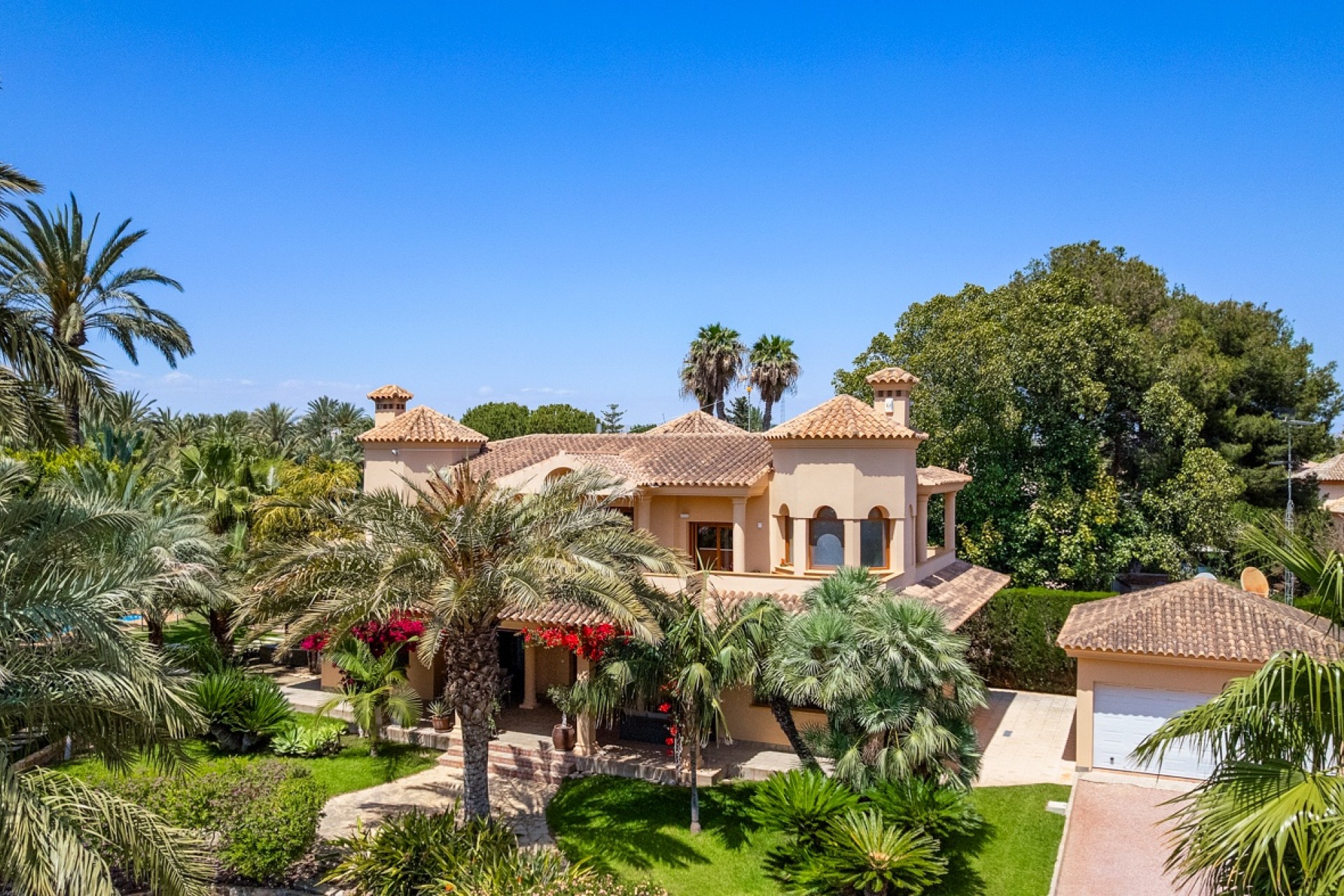 Reventa - Casa de Campo - Elche - Elche - Campo