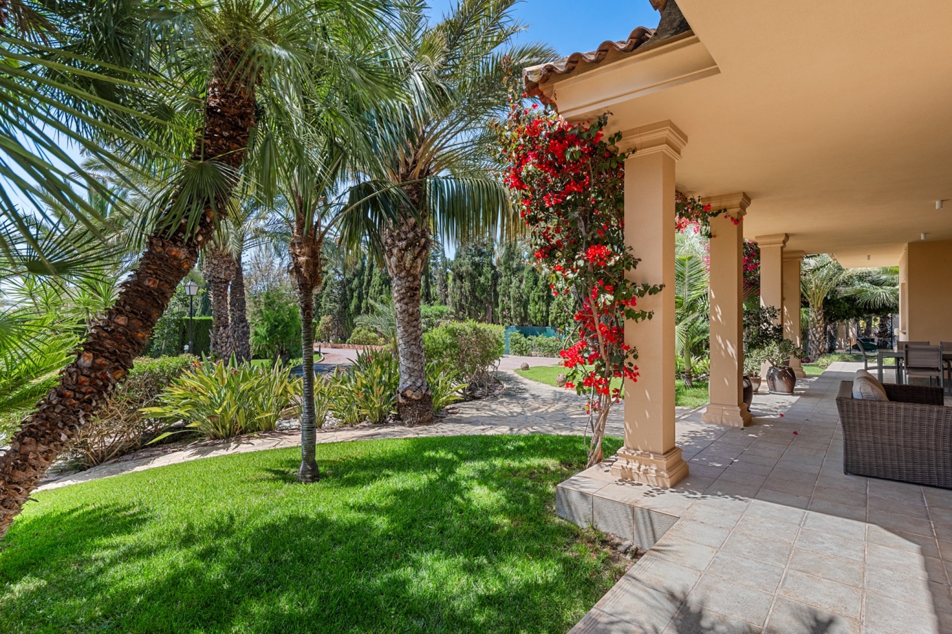 Reventa - Casa de Campo - Elche - Elche - Campo