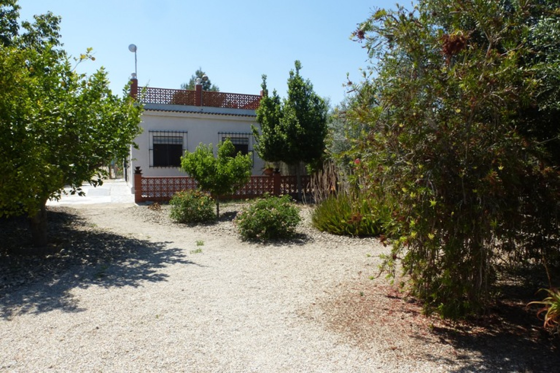Reventa - Casa de Campo - Formentera del Segura - Formentera - Campo