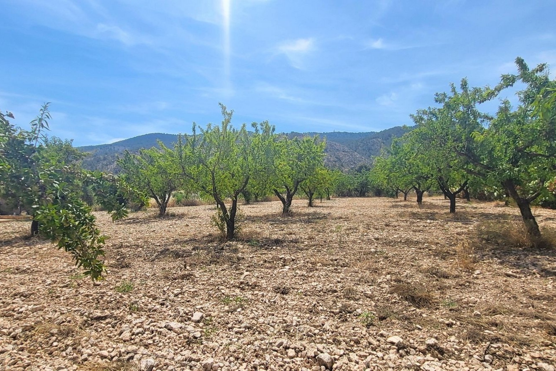 Reventa - Casa de Campo - Hondon - Hondon de Las Nieves