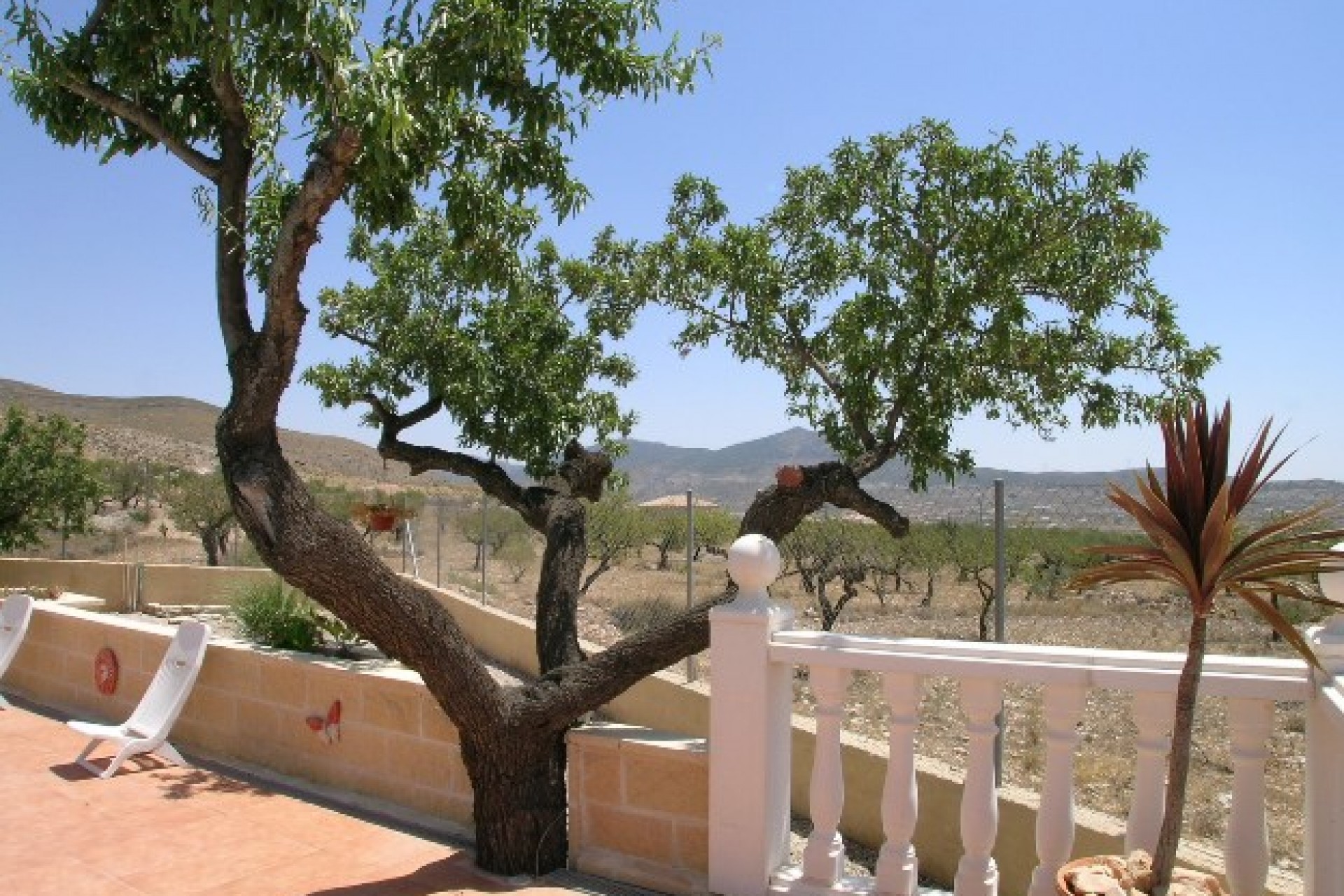 Reventa - Casa de Campo - Hondon - Hondon de Los Frailes
