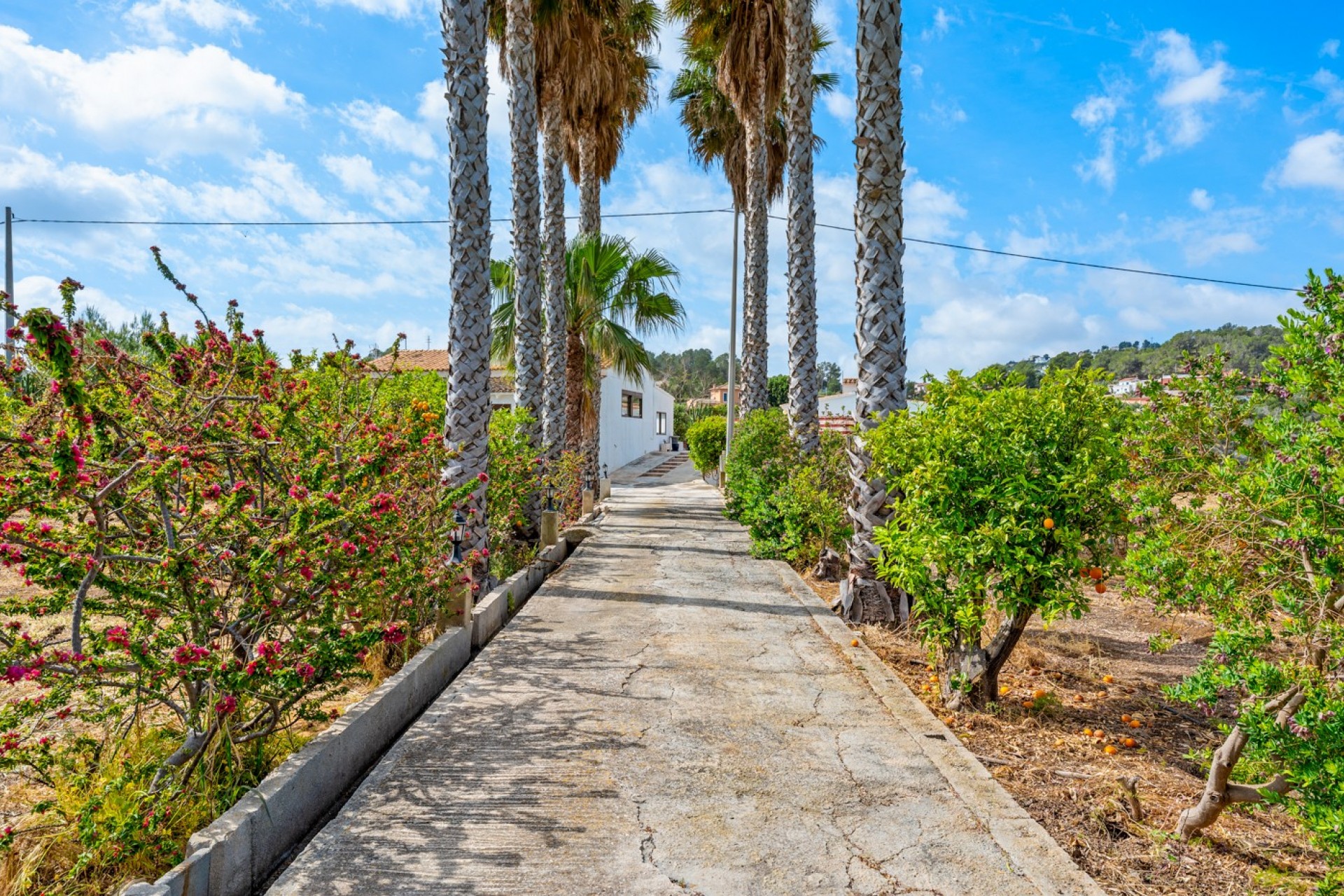 Reventa - Casa de Campo - La Nucia - La Nucia - Campo