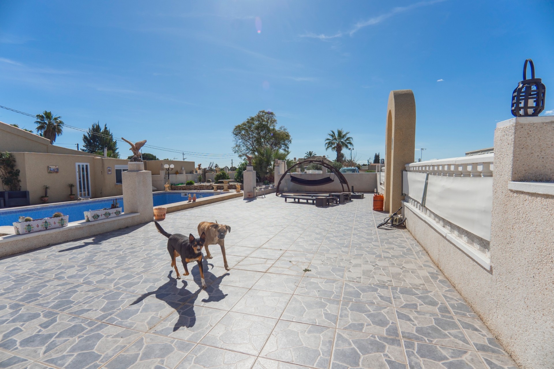 Reventa - Casa de Campo - Los Montesinos - Los Montesinos - Campo