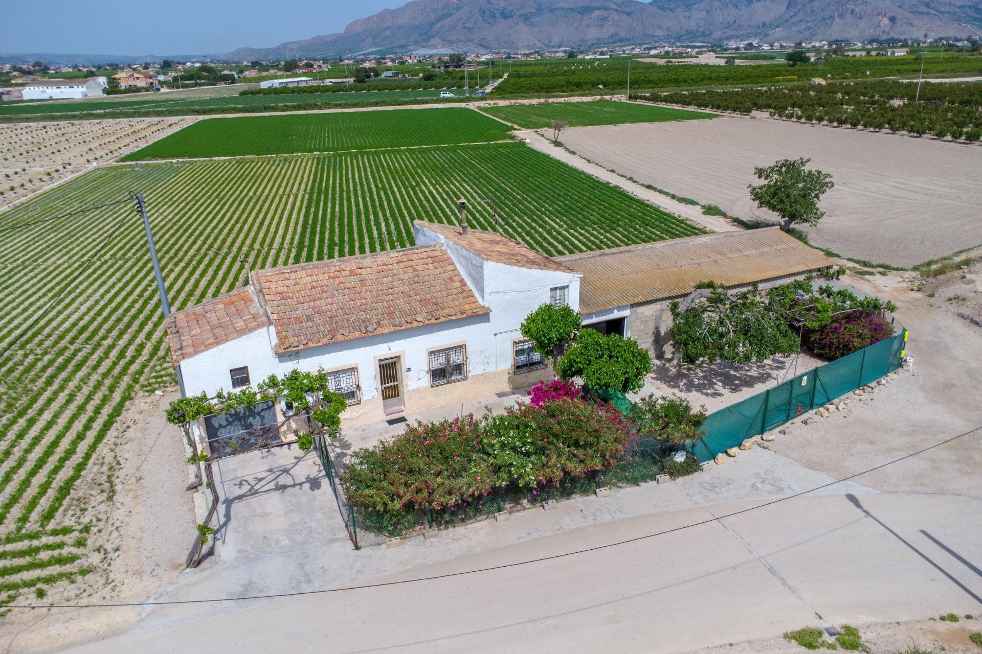 Reventa - Casa de Campo - Orihuela - Los Desamparados