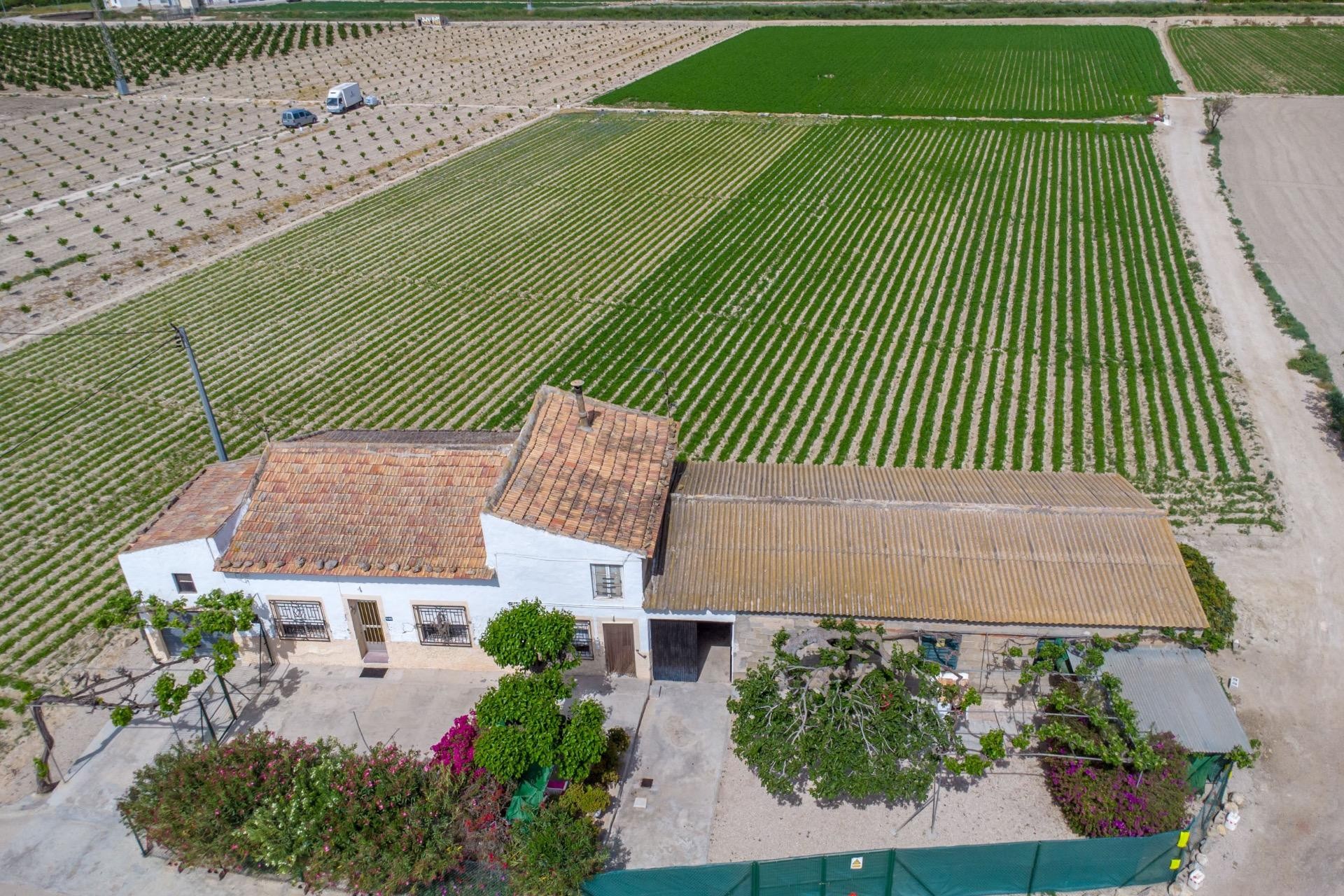 Reventa - Casa de Campo - Orihuela - Los Desamparados
