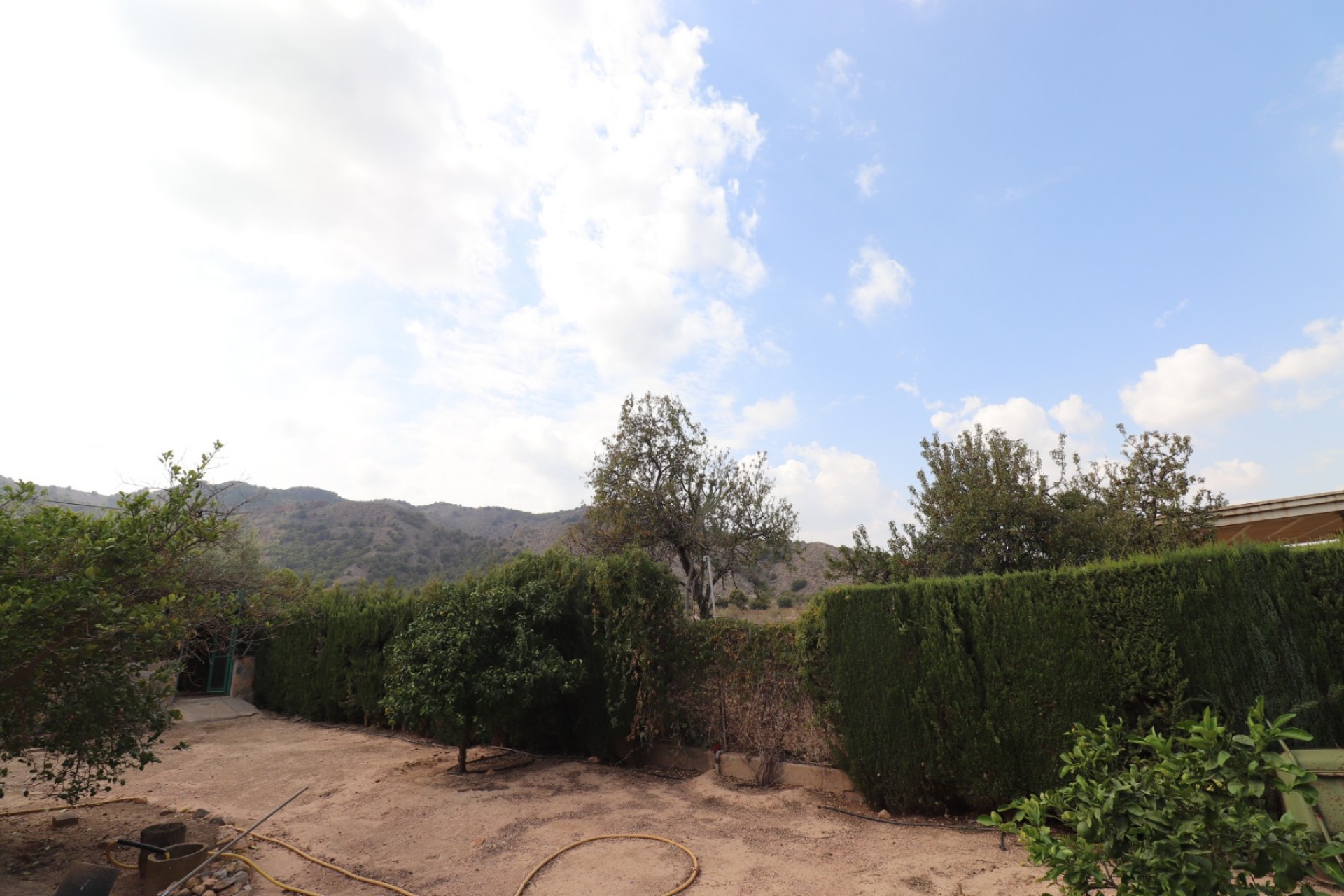 Reventa - Casa de Campo - Orihuela - Orihuela - Campo