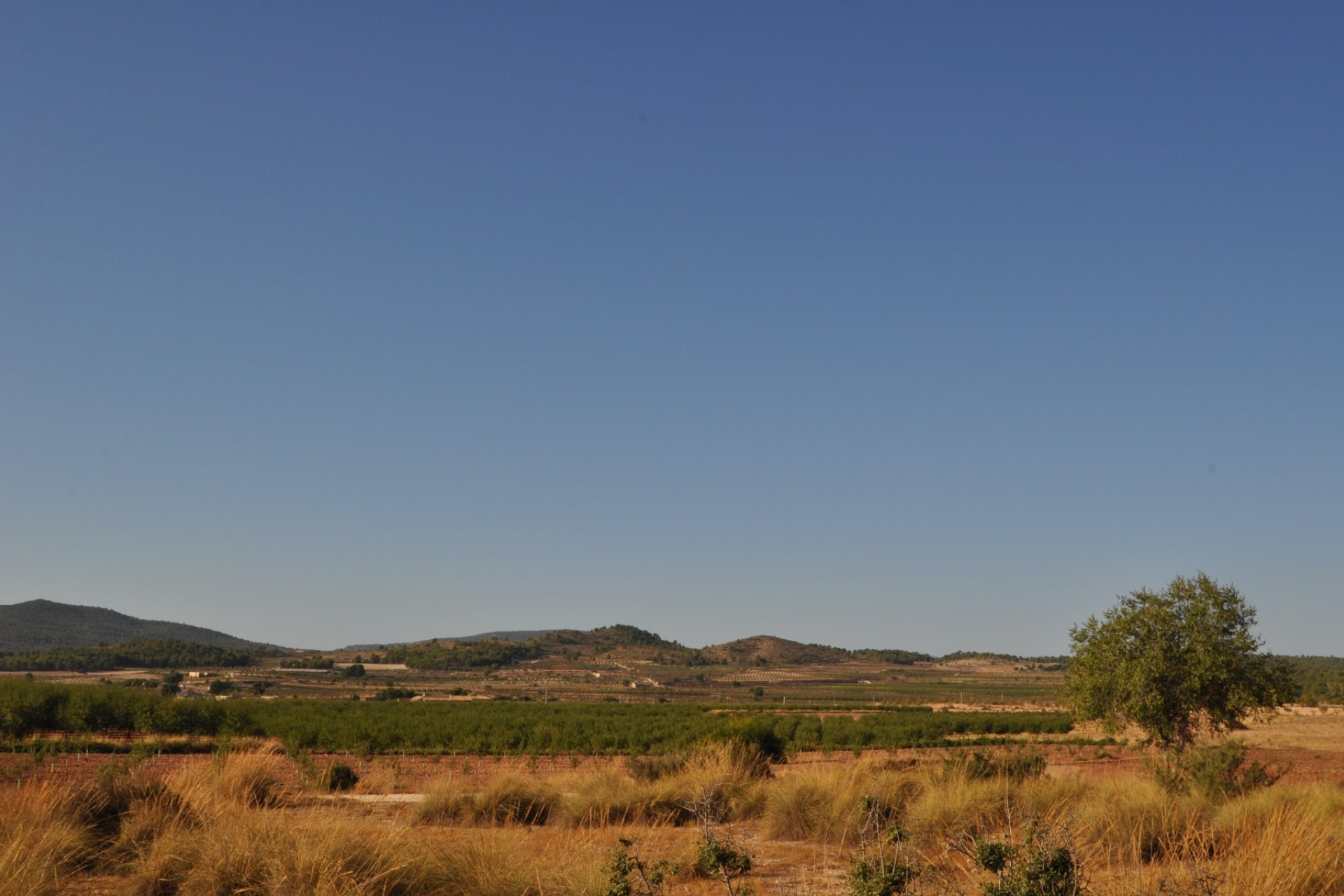 Reventa - Casa de Campo - Pinoso - Pinoso - Pueblo