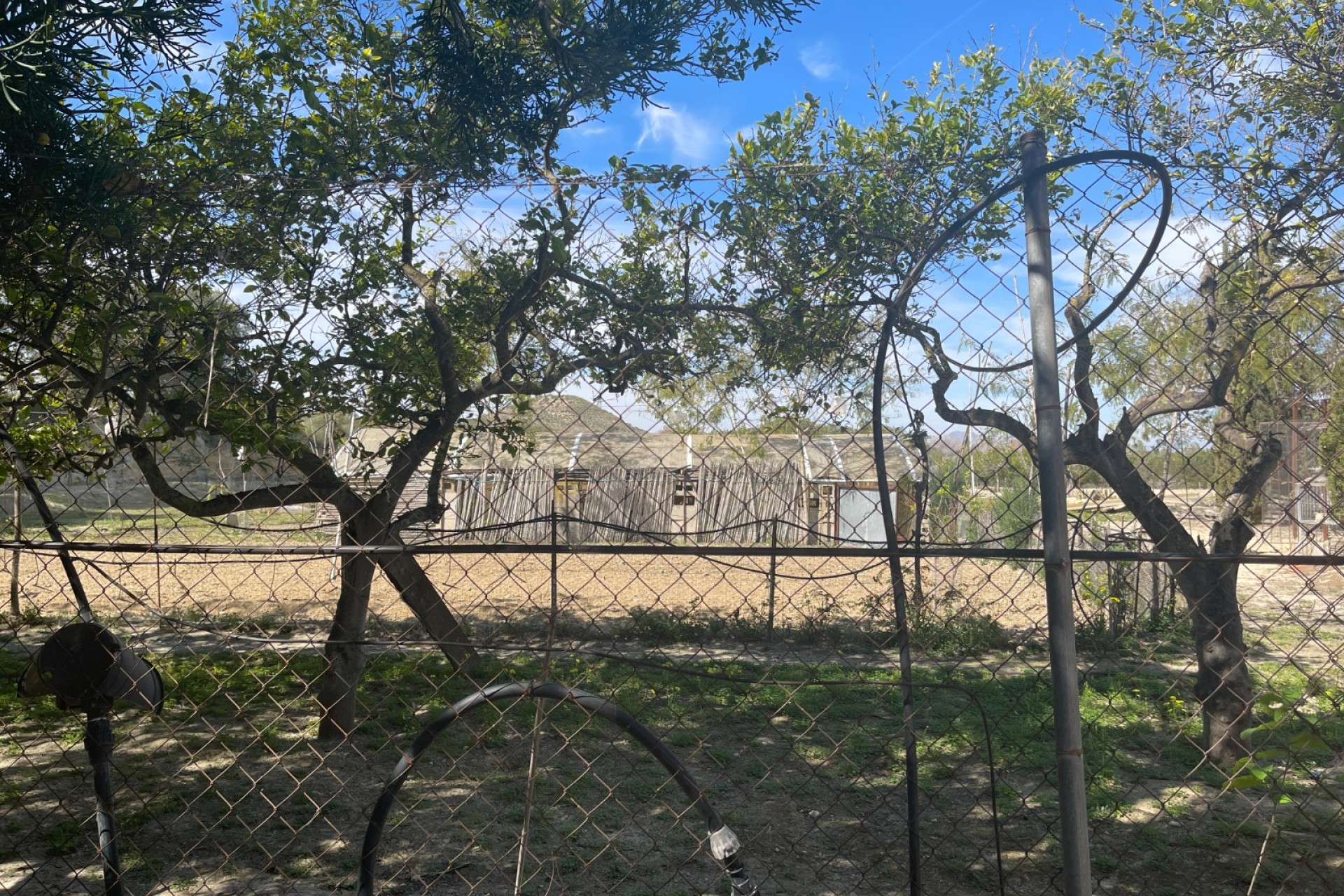 Reventa - Casa de Campo - Rojales - Rojales - Campo