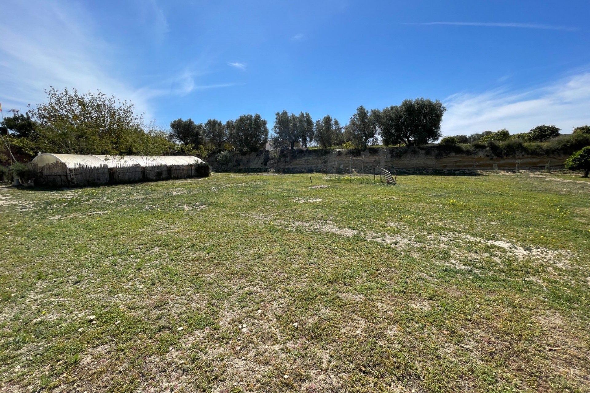 Reventa - Casa de Campo - Rojales - Rojales - Campo