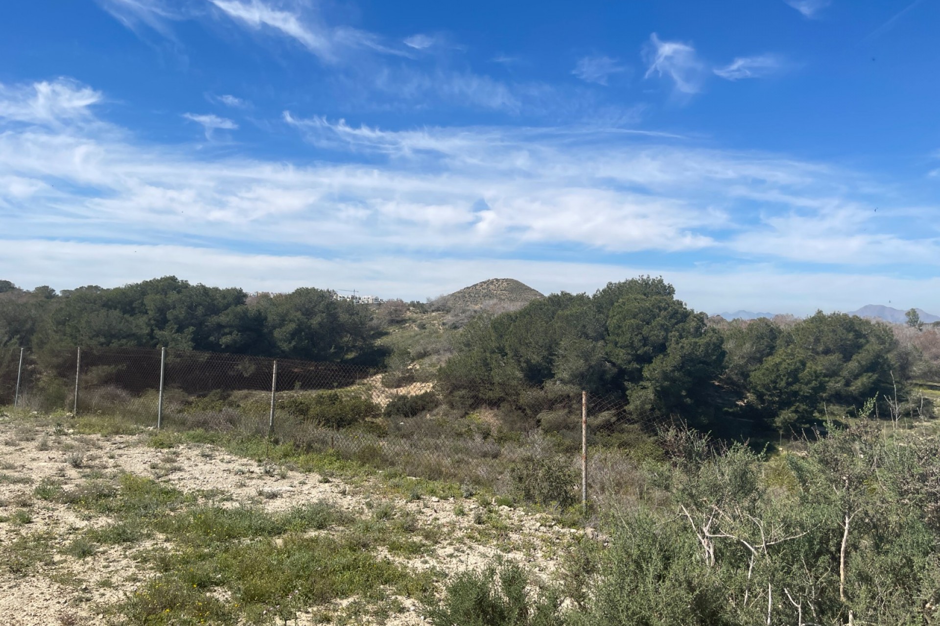 Reventa - Casa de Campo - Rojales - Rojales - Campo