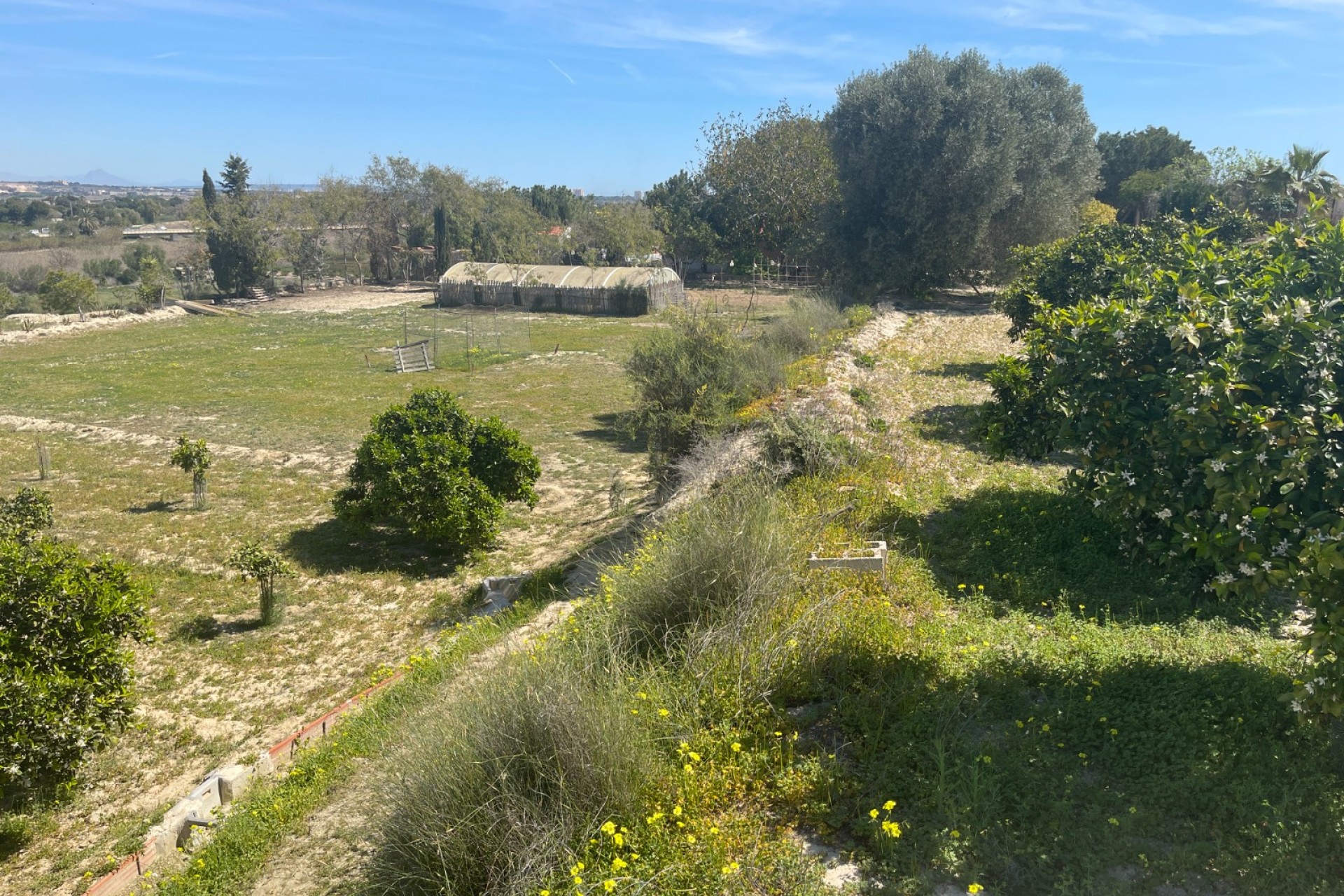 Reventa - Casa de Campo - Rojales - Rojales - Campo
