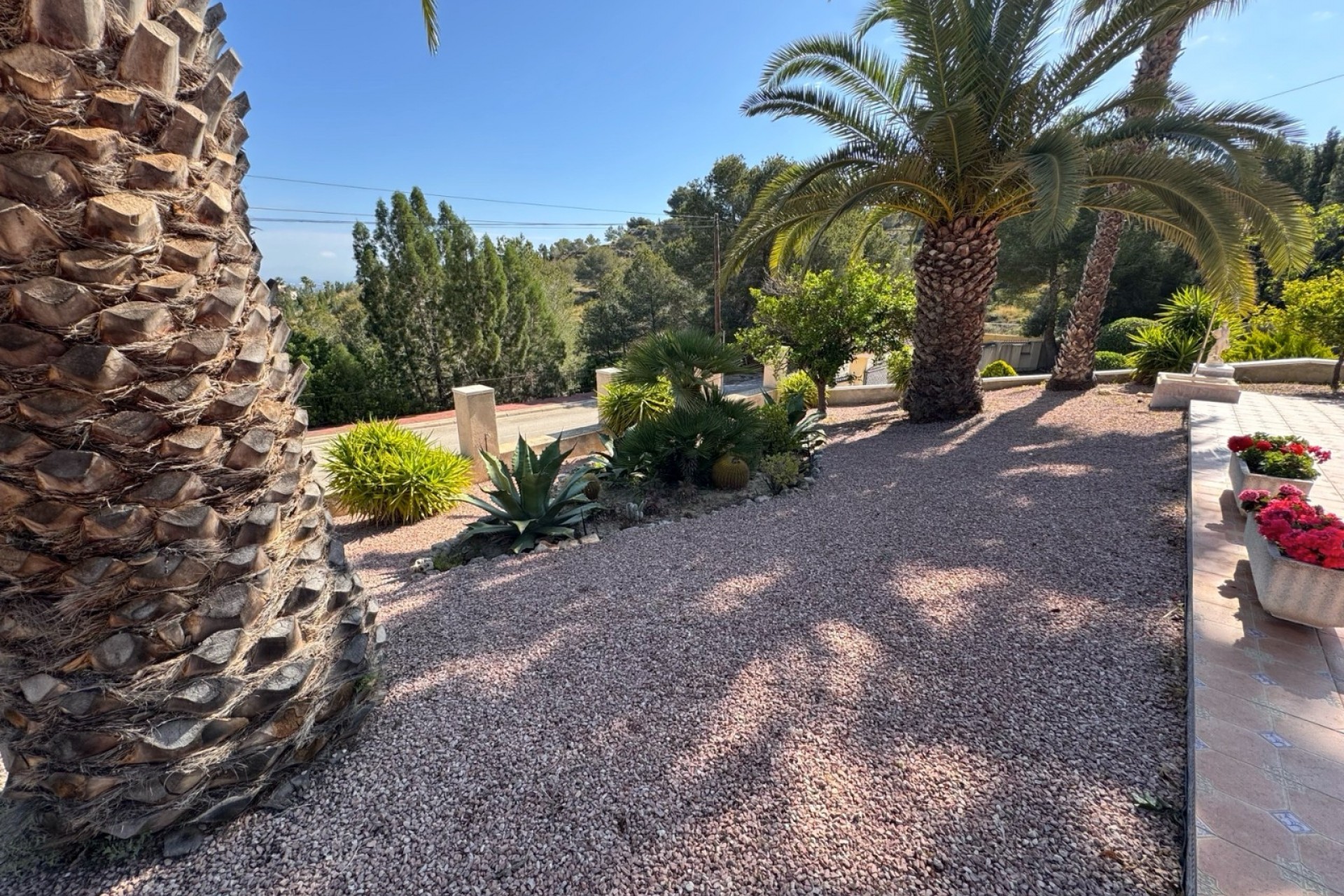 Reventa - Chalet - Algorfa - Lomas de La Juliana