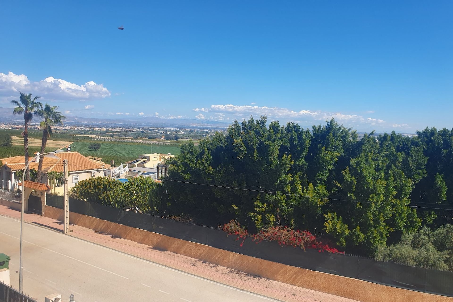 Reventa - Chalet - Algorfa - Lomas de La Juliana