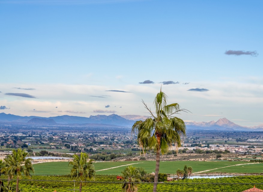 Reventa - Chalet - Algorfa - Lomas de La Juliana