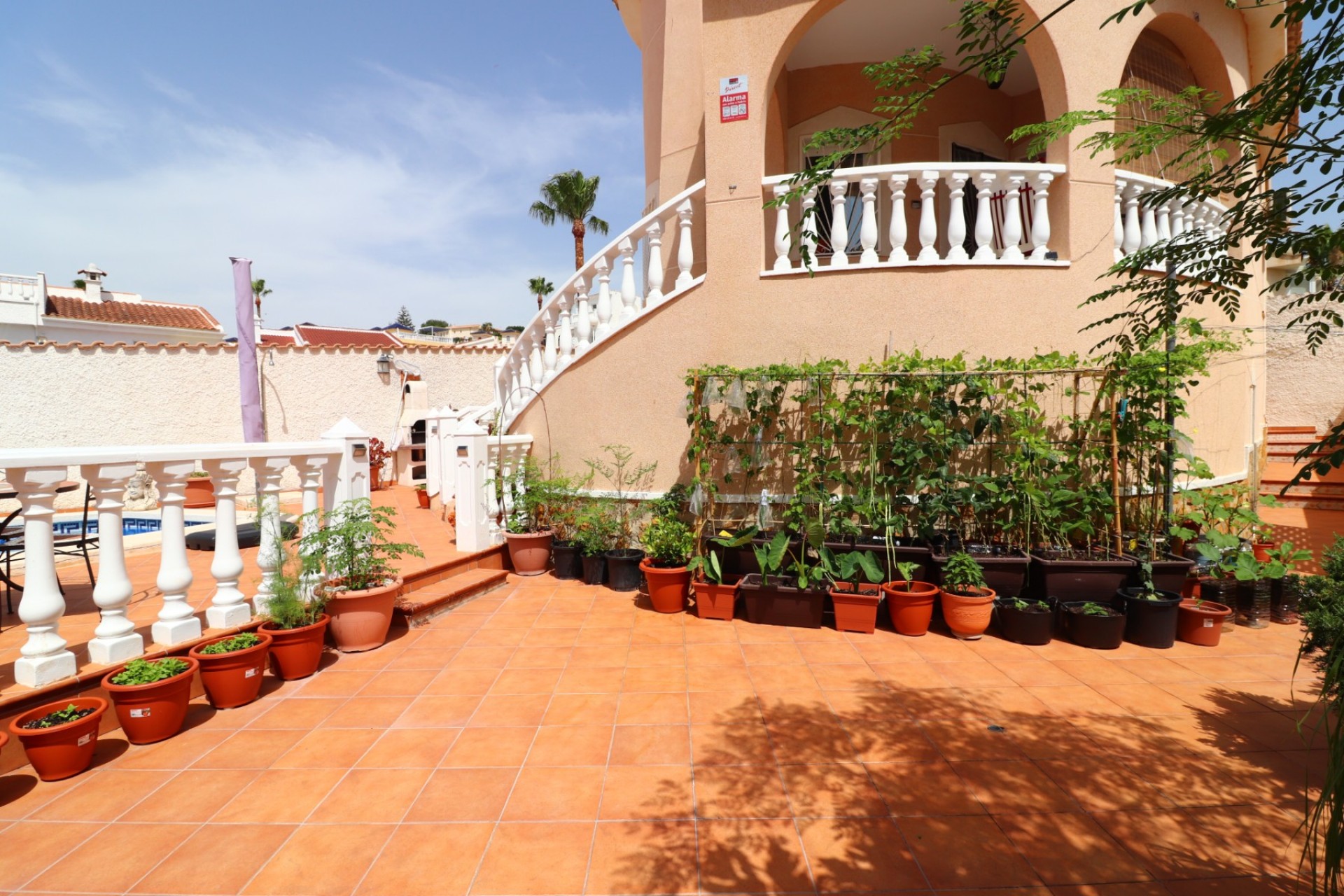 Reventa - Chalet - Ciudad Quesada - La Marquesa