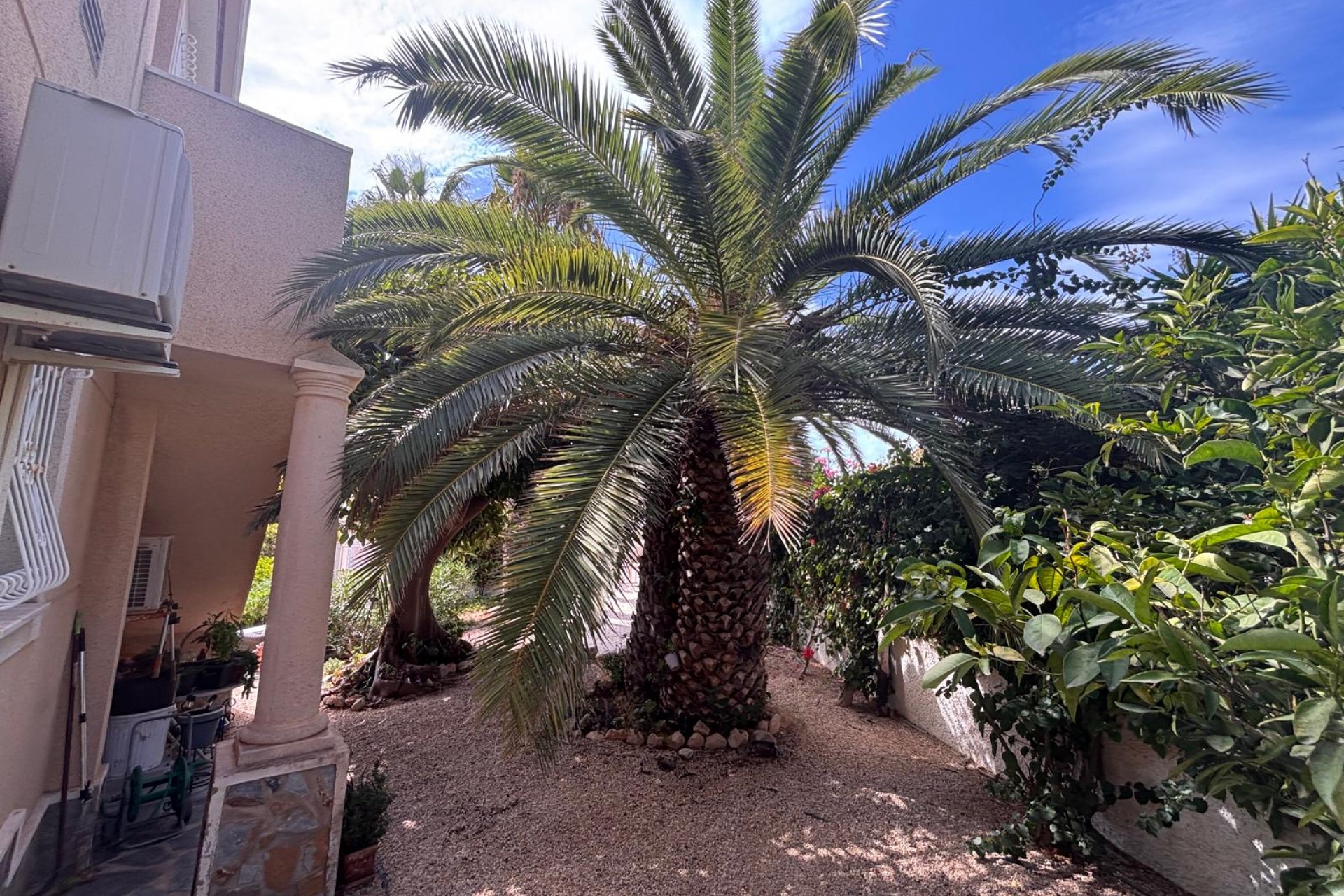 Reventa - Chalet - Ciudad Quesada - Lo Pepin