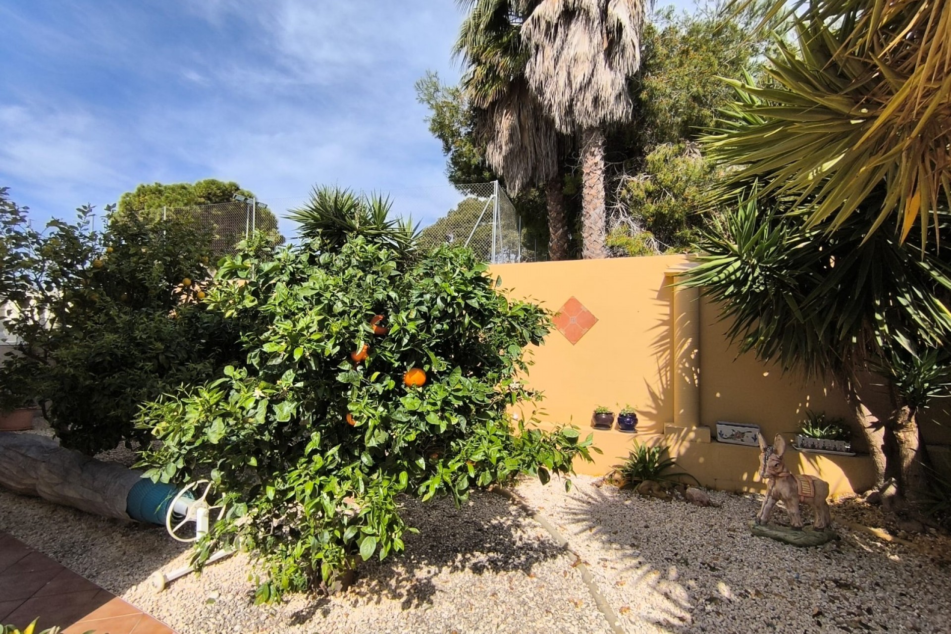 Reventa - Chalet - Guardamar del Segura - El Raso