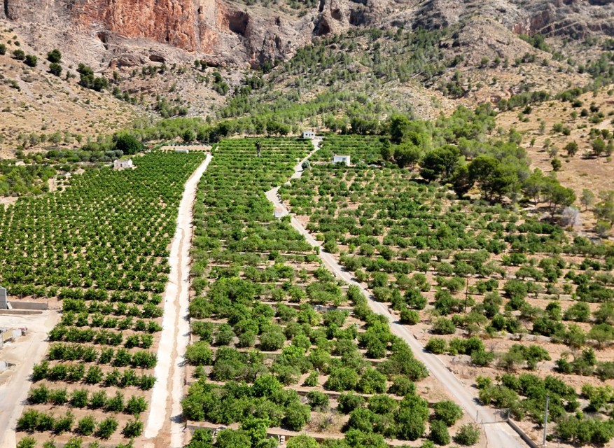 Reventa - Finca Country Property - Orihuela
