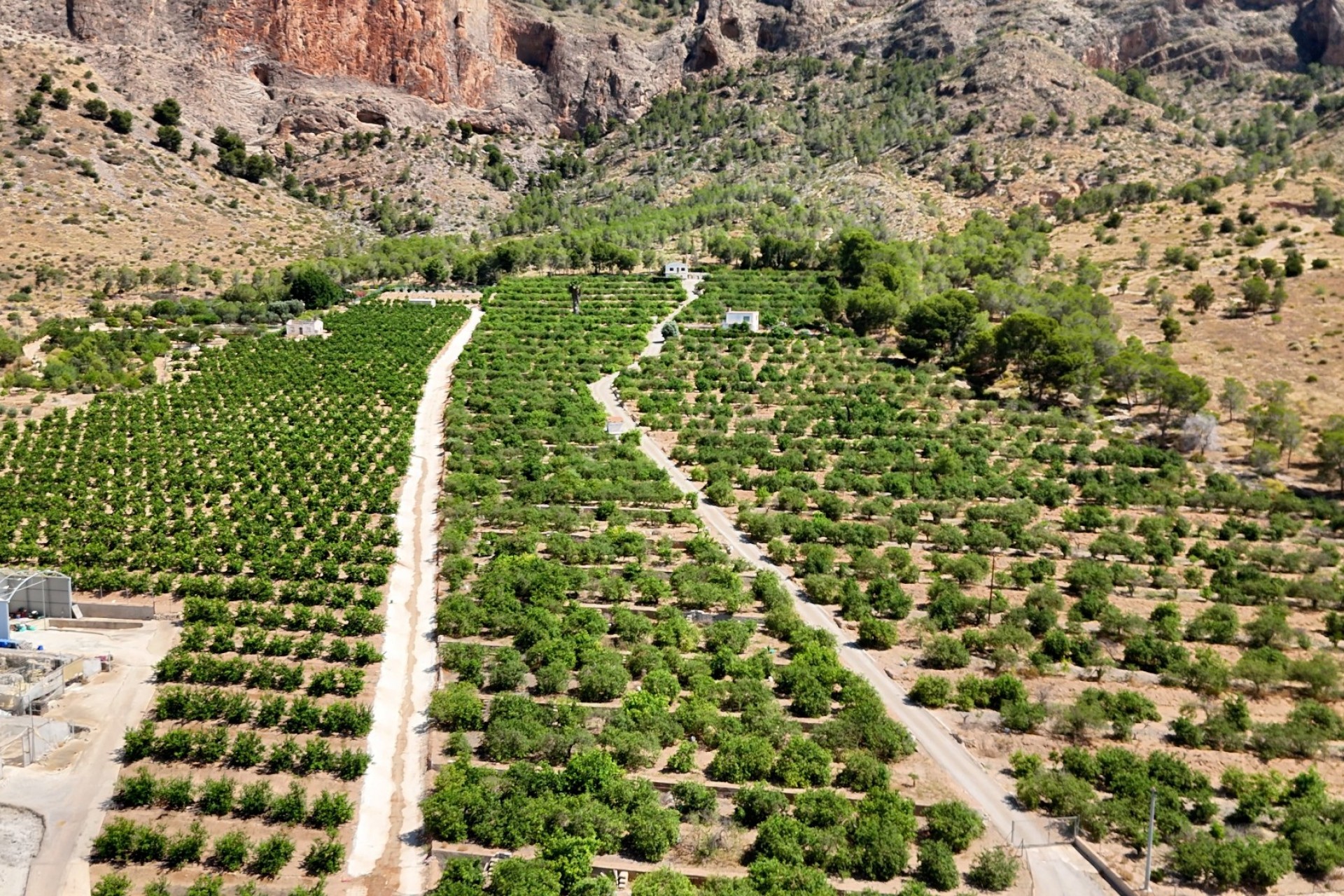 Reventa - Finca Country Property - Orihuela
