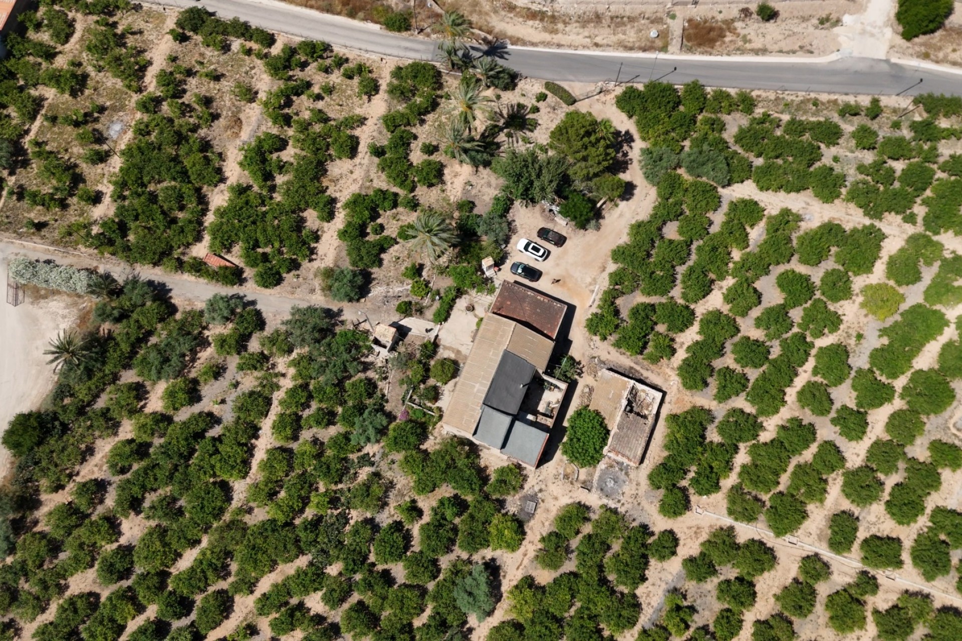 Reventa - Finca Country Property - Orihuela