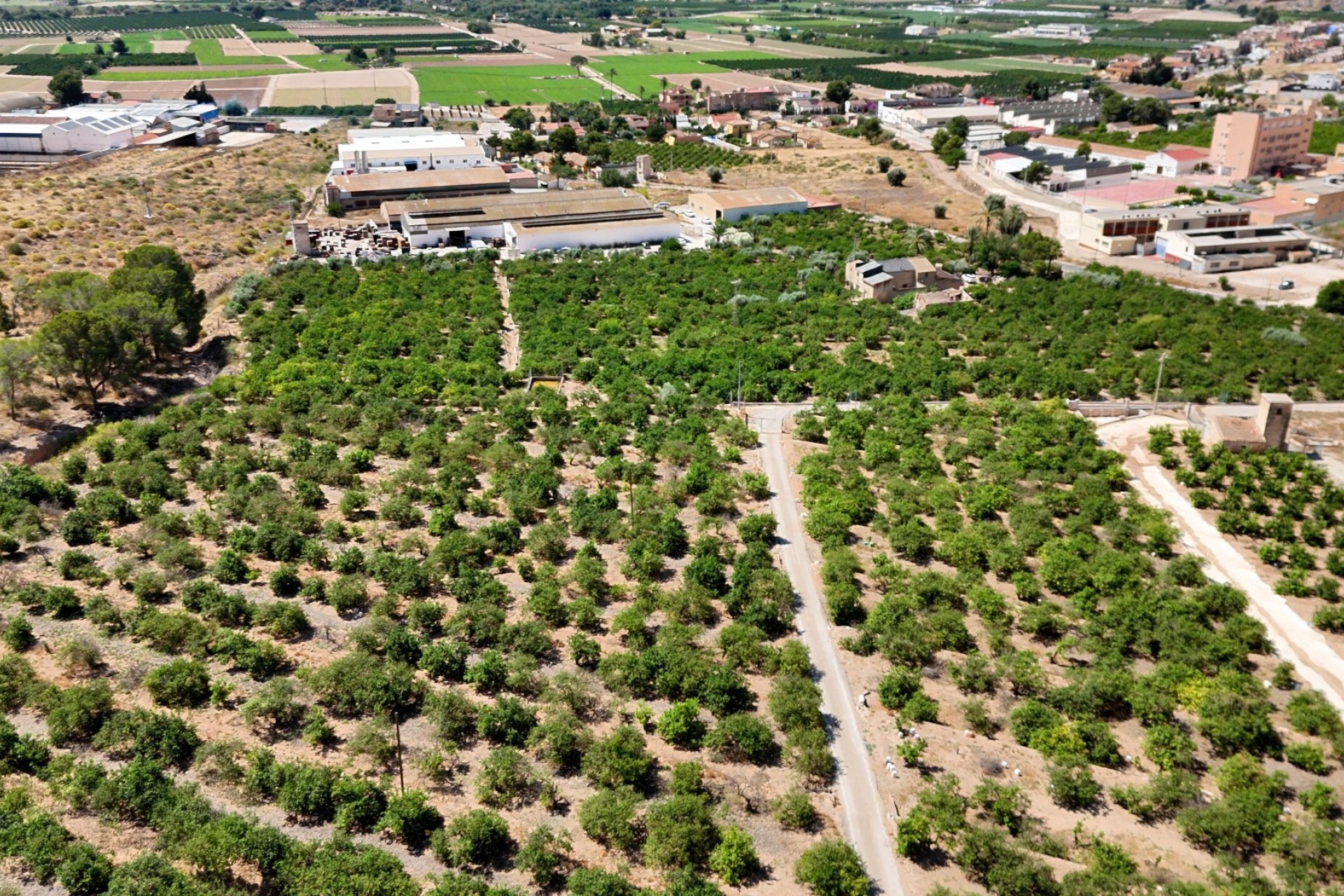 Reventa - Finca Country Property - Orihuela