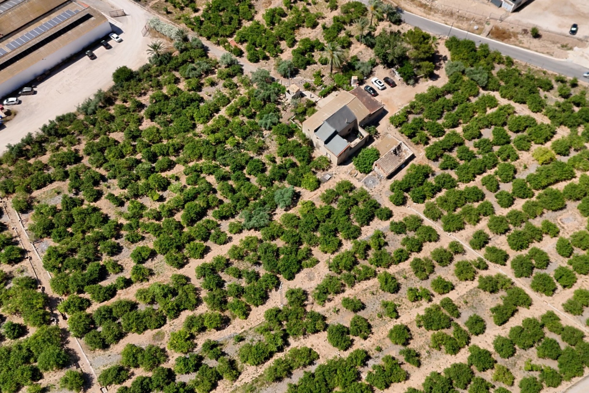 Reventa - Finca Country Property - Orihuela