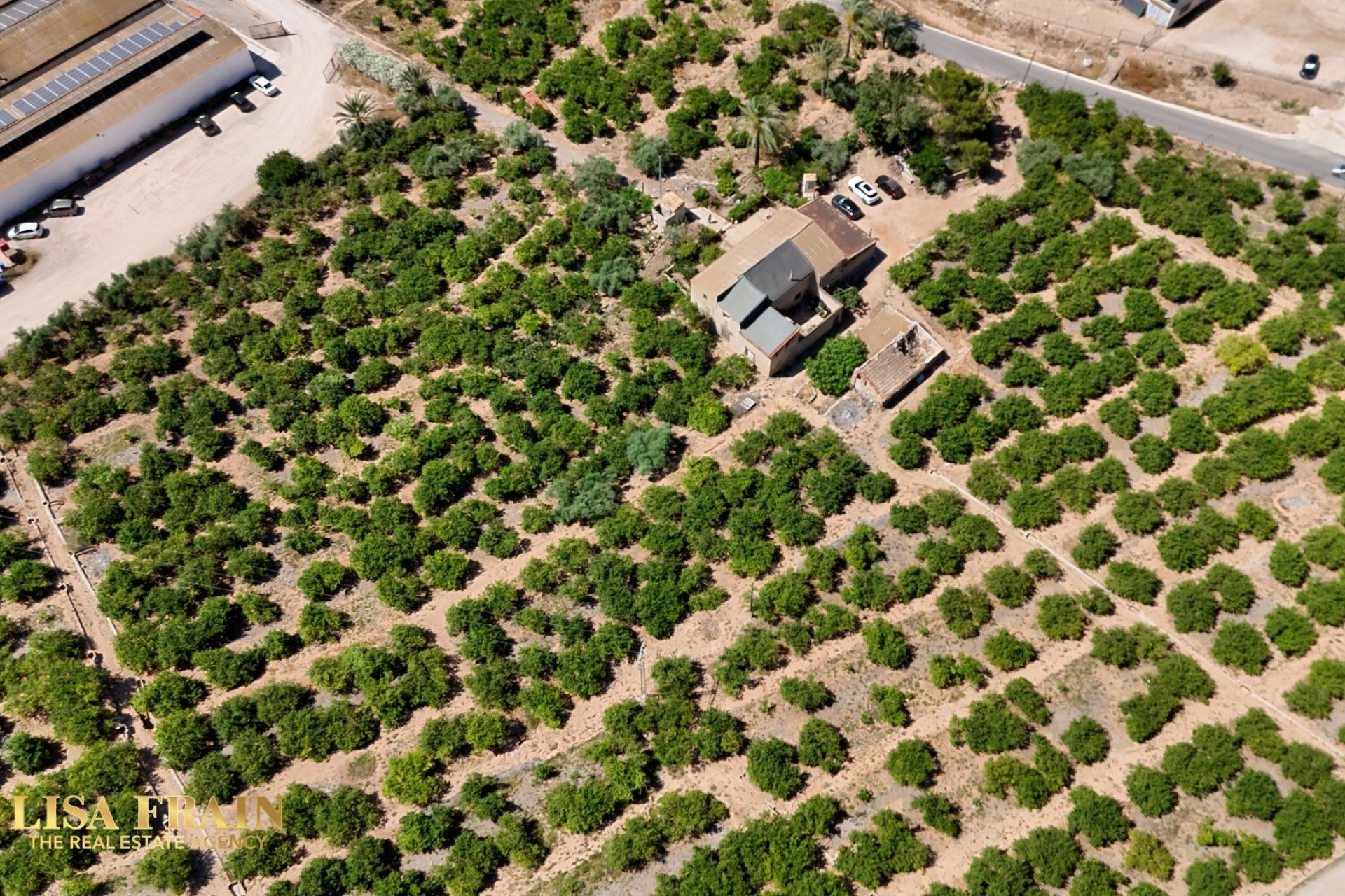 Reventa - Finca Country Property - Orihuela