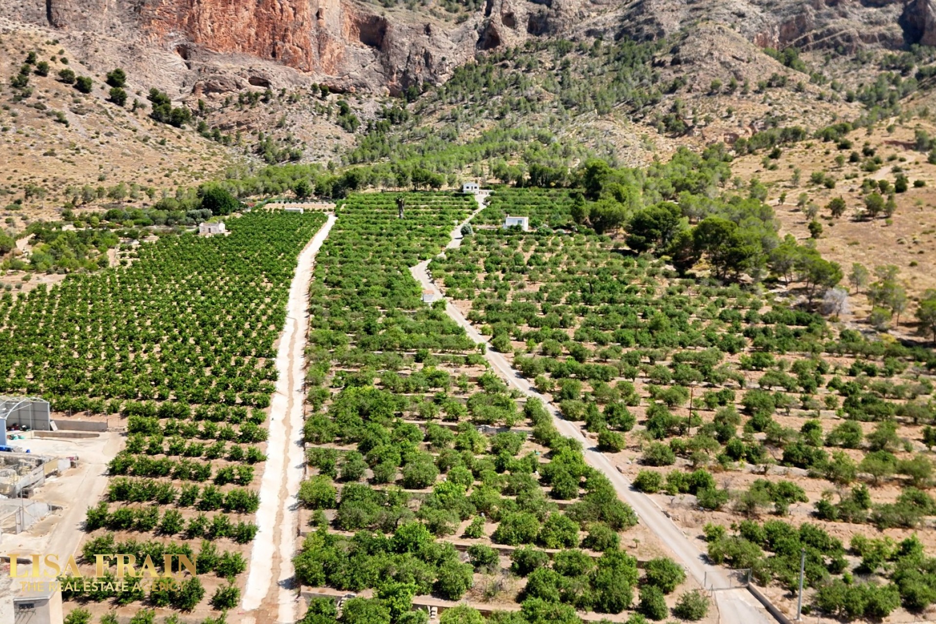 Reventa - Finca Country Property - Orihuela