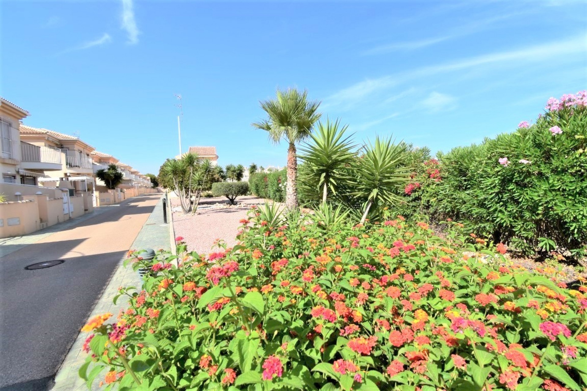 Reventa - Quad Villa - Orihuela Costa - Playa Flamenca