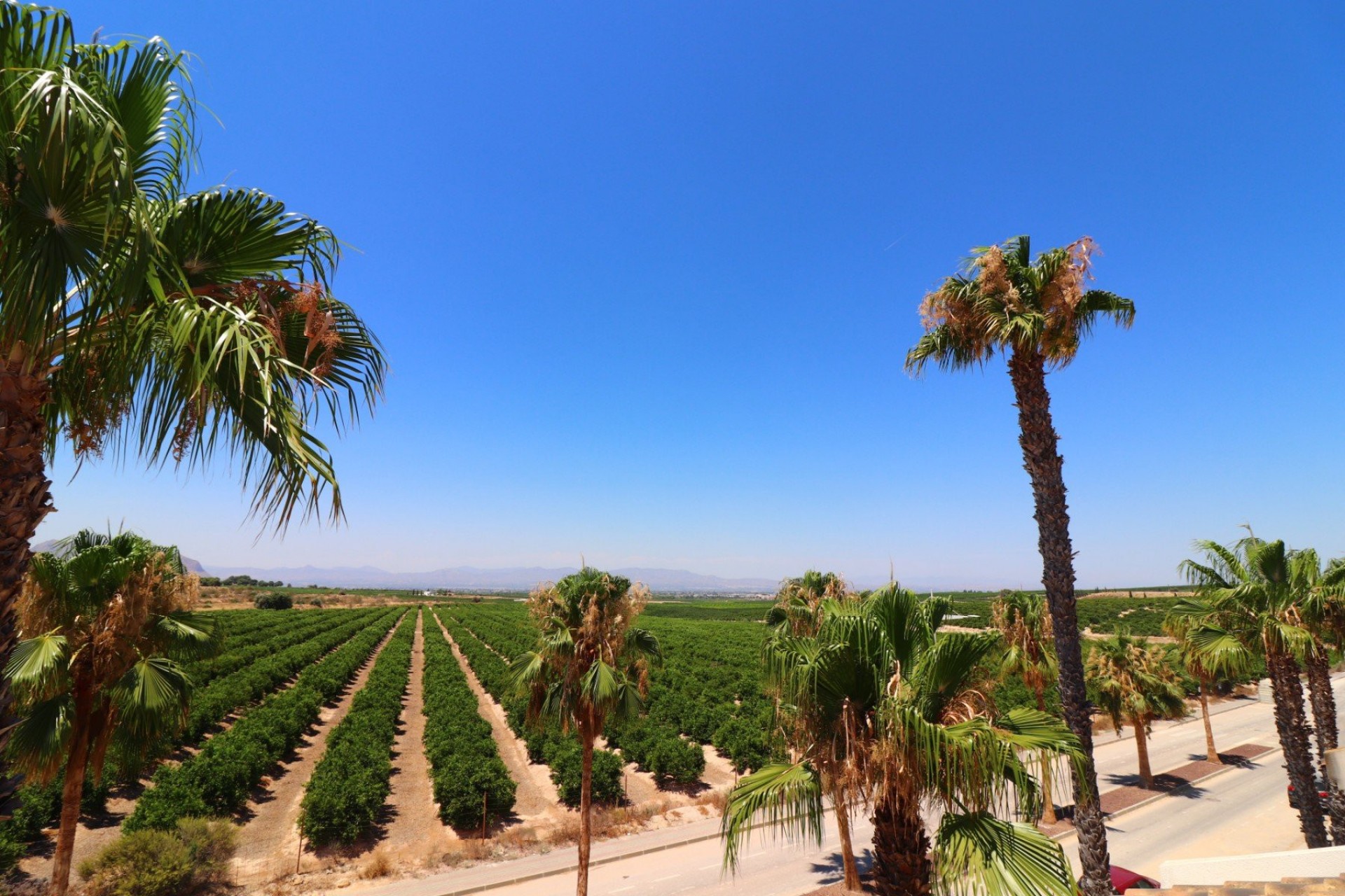 Reventa - Semi Adosado - Algorfa - La Finca Golf Resort