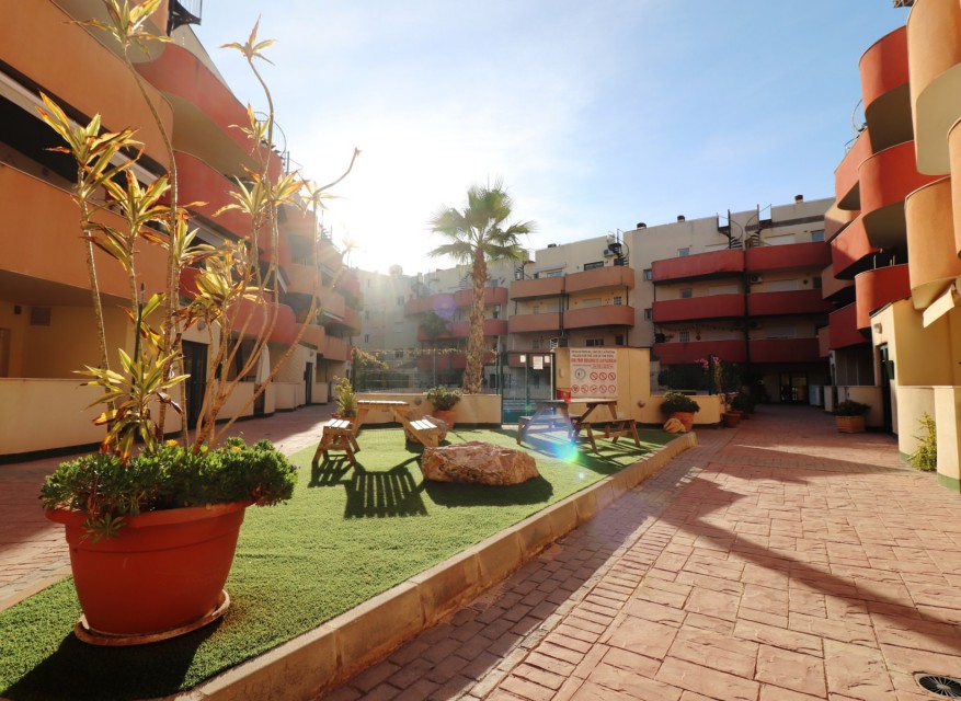 Utleie - Leilighet - Almoradi - Almoradi - Byen