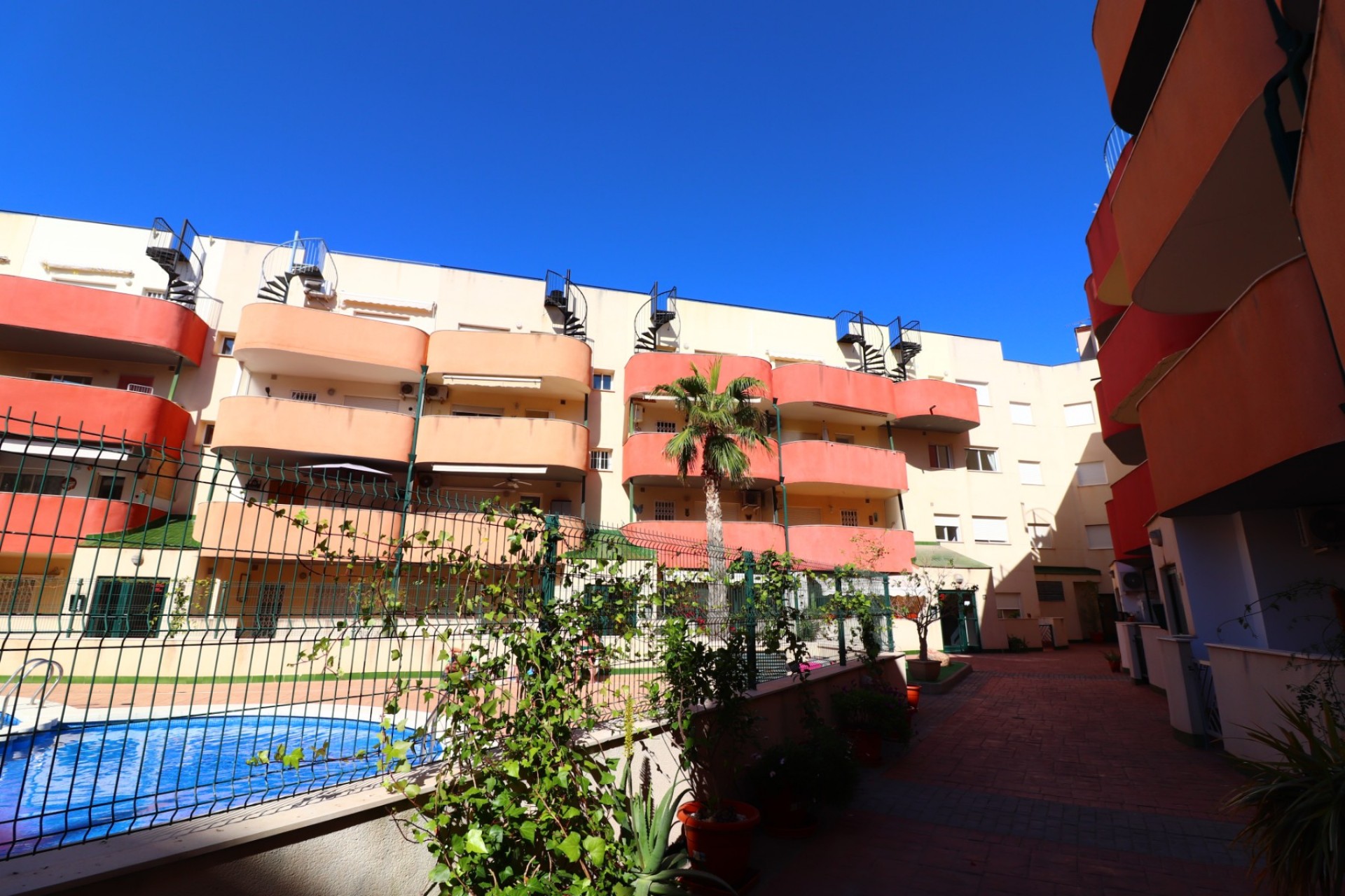 Utleie - Leilighet - Almoradi - Almoradi - Byen