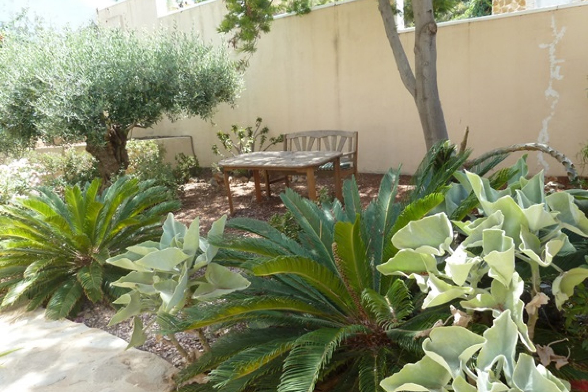 Videresalg - Frittliggende Villa - Algorfa - Lomas de La Juliana