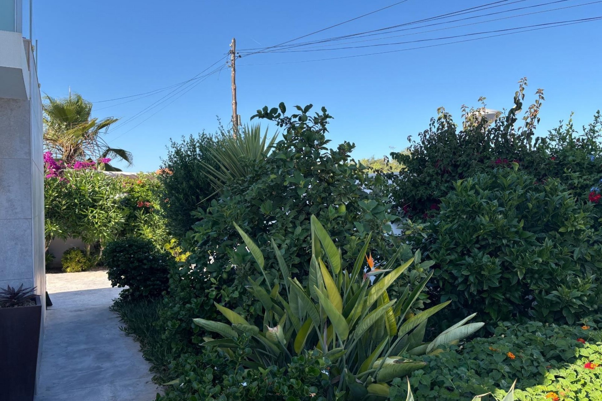 Videresalg - Frittliggende Villa - Torrevieja - Torretas