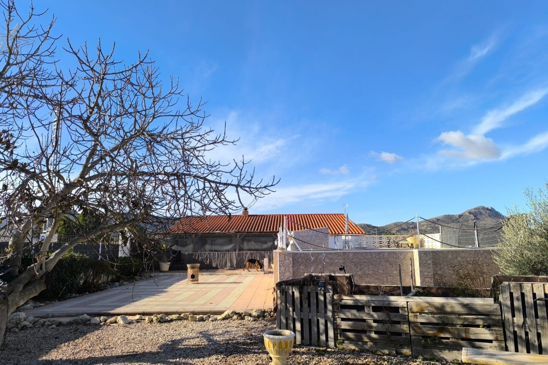 Videresalg - Frittliggende Villa - Villena - Rural location