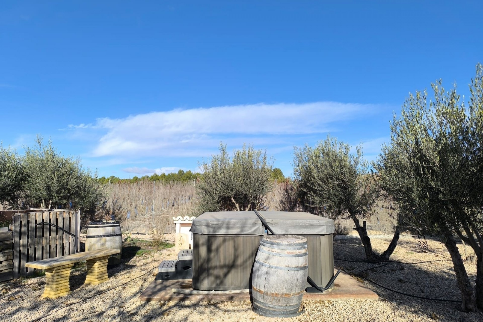 Videresalg - Frittliggende Villa - Villena - Rural location