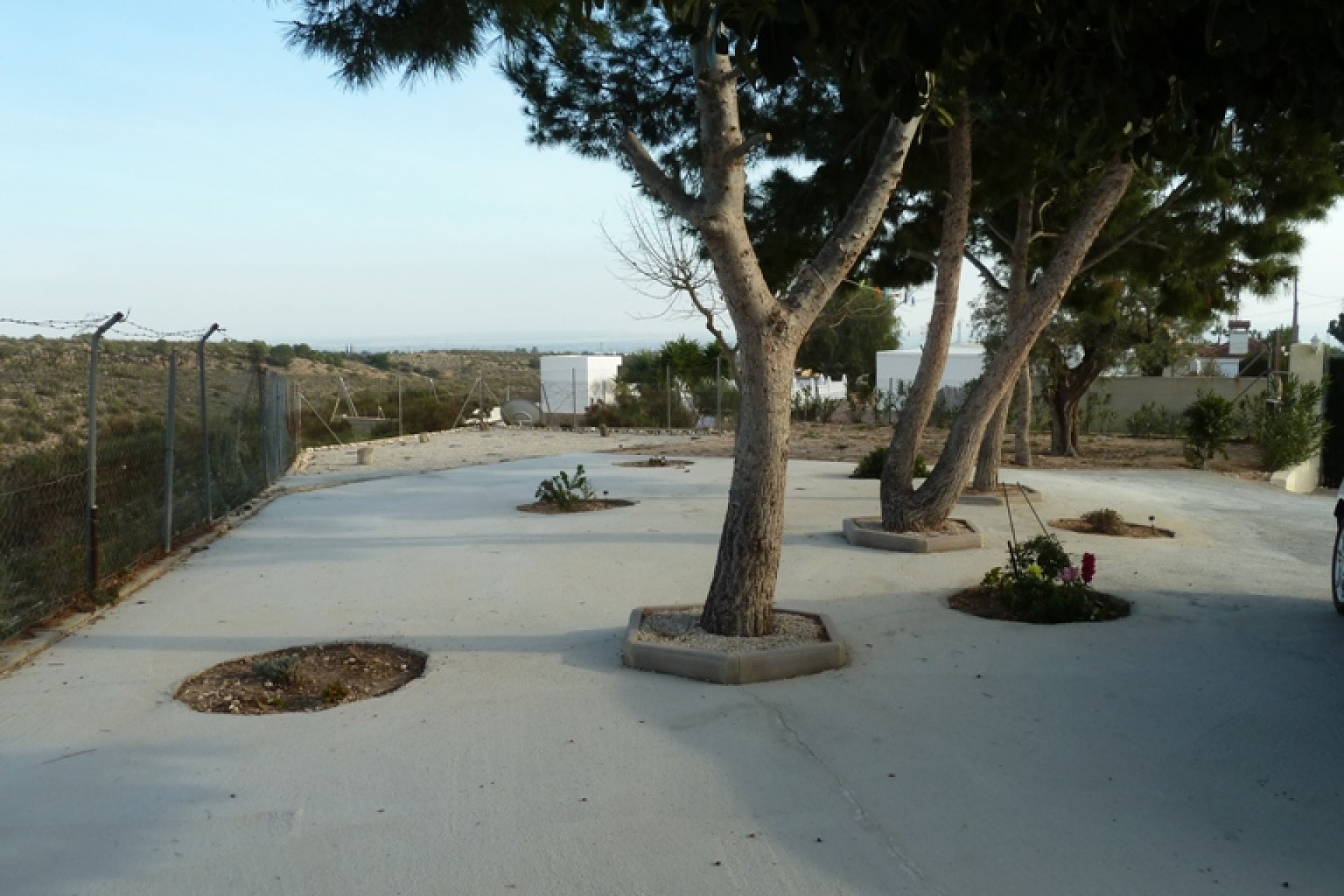 Videresalg - Land Eiendom - Albatera - Albatera - Felt