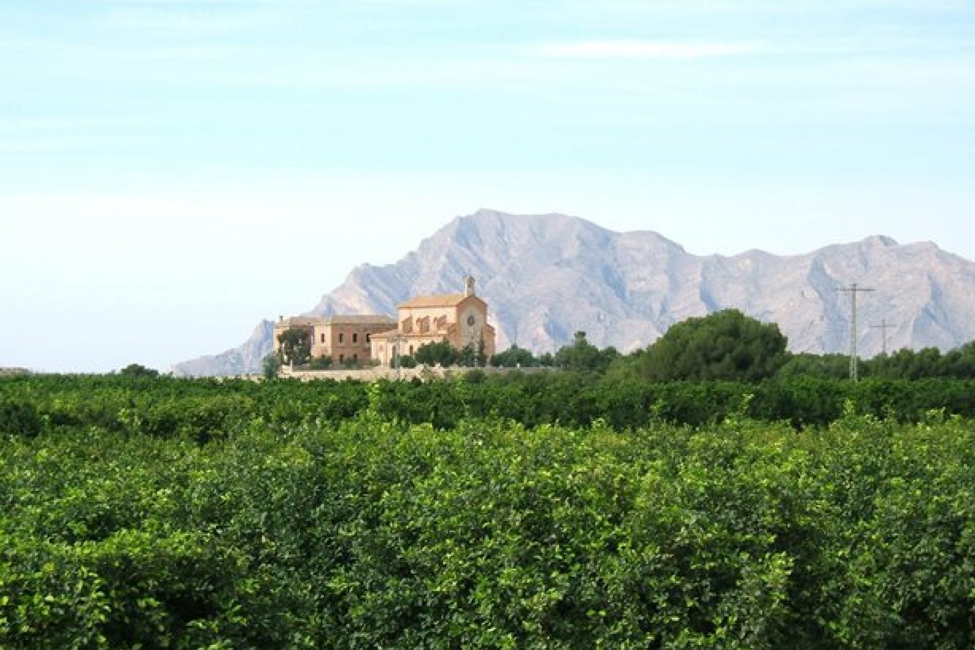Videresalg - Leilighet - Algorfa - Algorfa - Landsby
