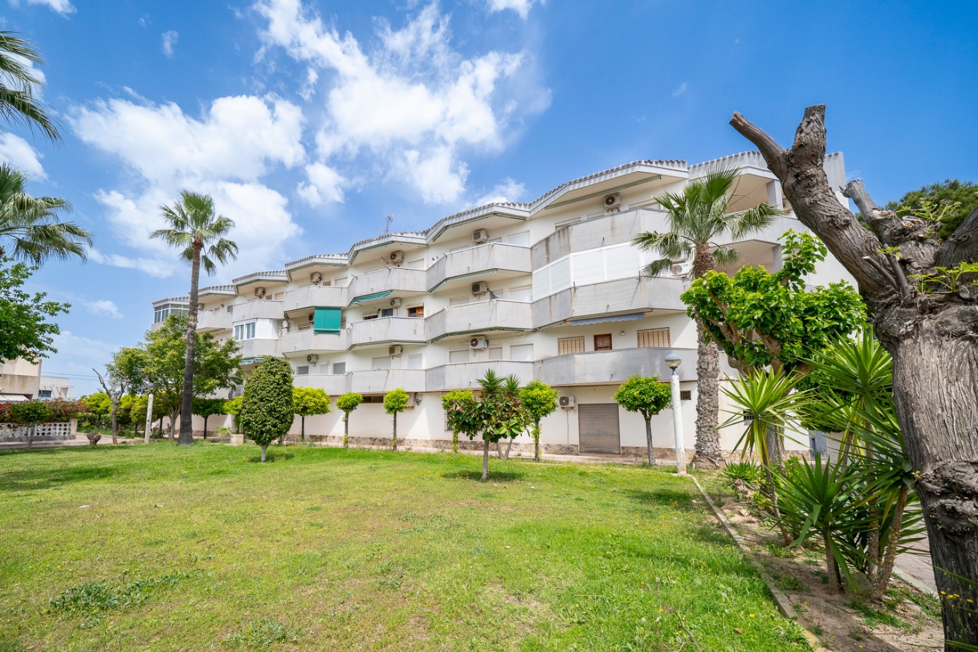 Videresalg - Leilighet - Orihuela Costa - Cabo Roig