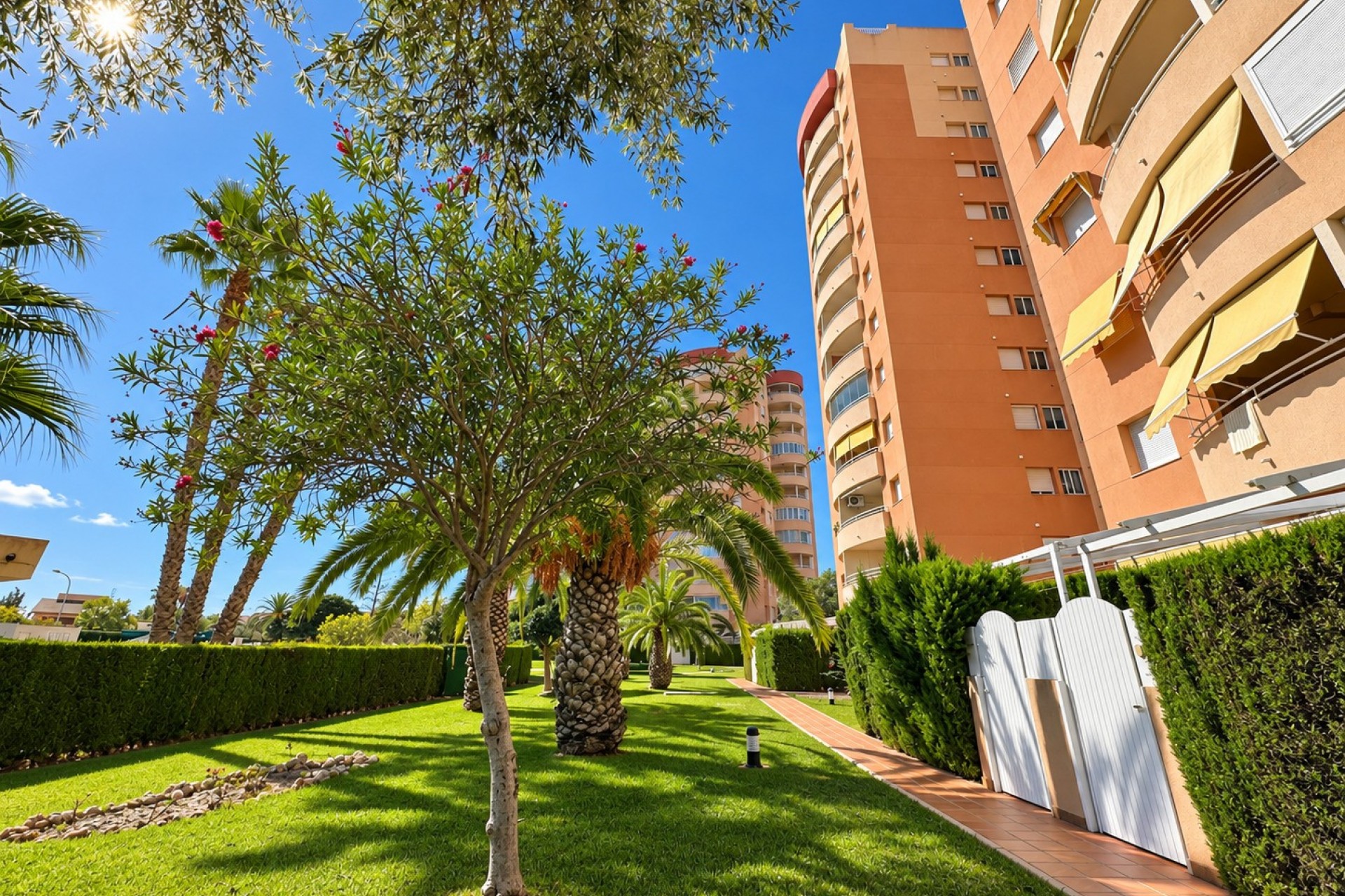 Videresalg - Leilighet - Orihuela Costa - Dehesa de Campoamor