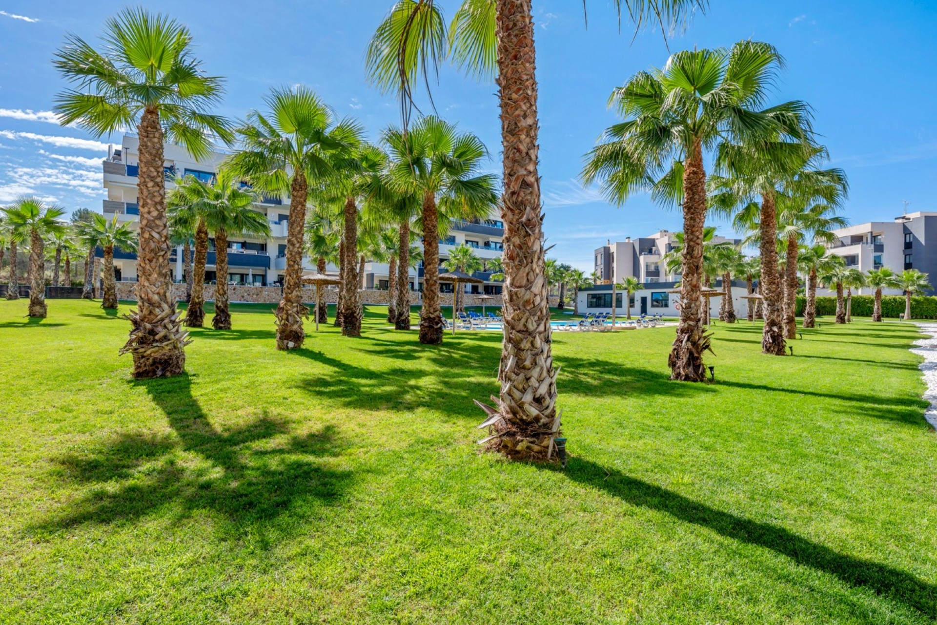 Videresalg - Leilighet - Orihuela Costa - Los Altos