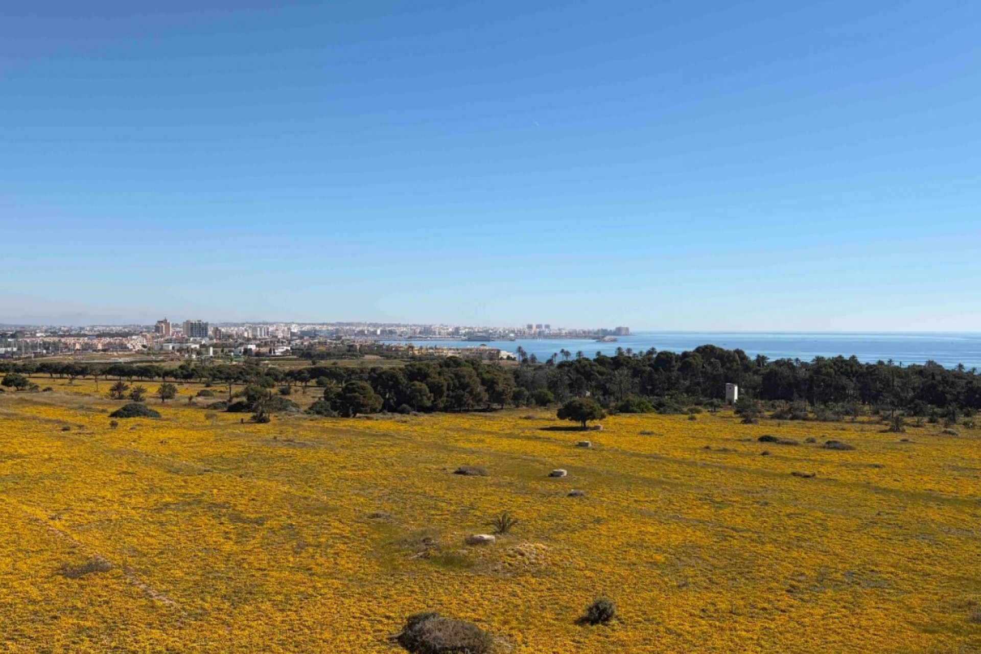 Videresalg - Leilighet - Orihuela Costa - Punta Prima
