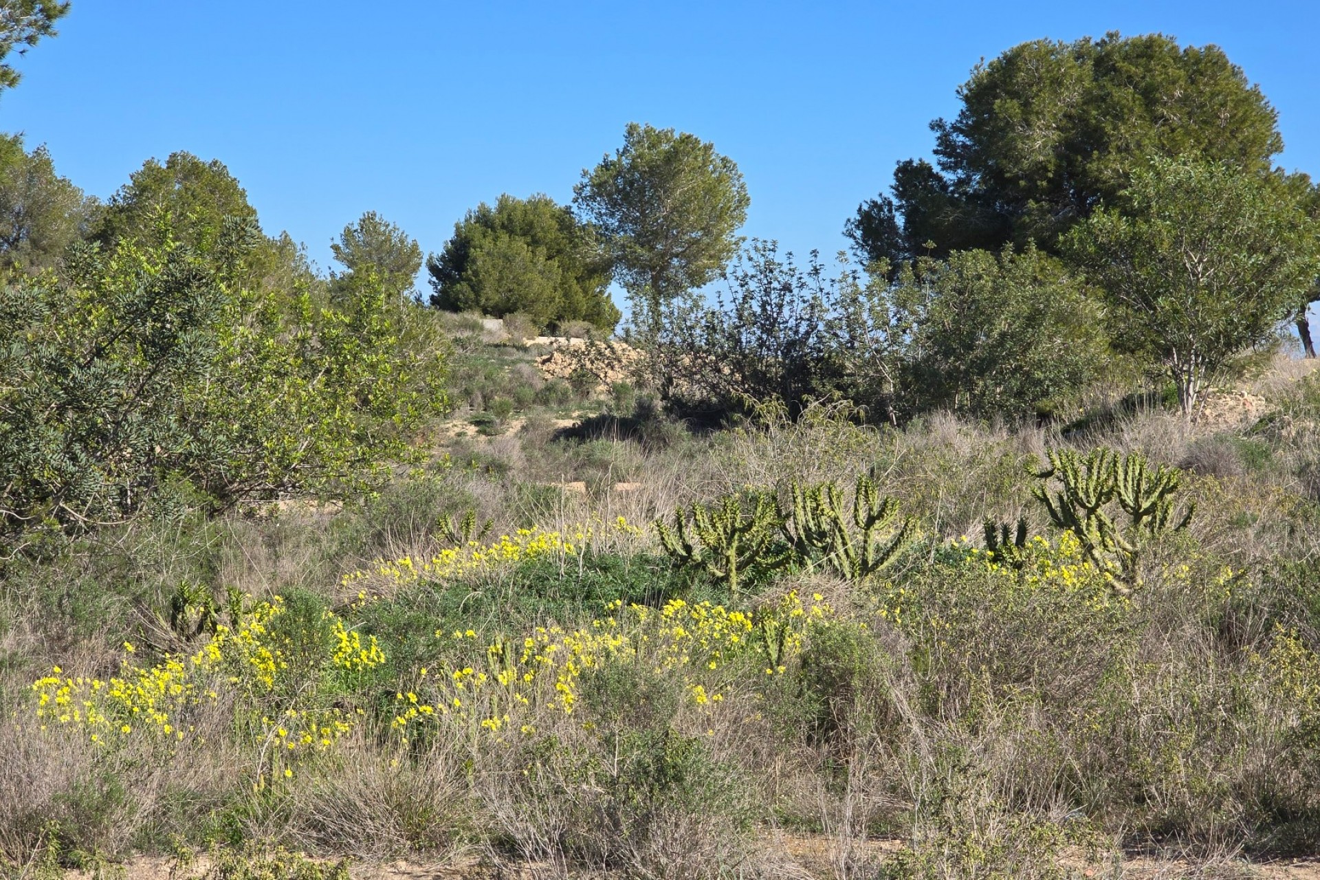 Videresalg - Leilighet - Orihuela Costa - Villamartin