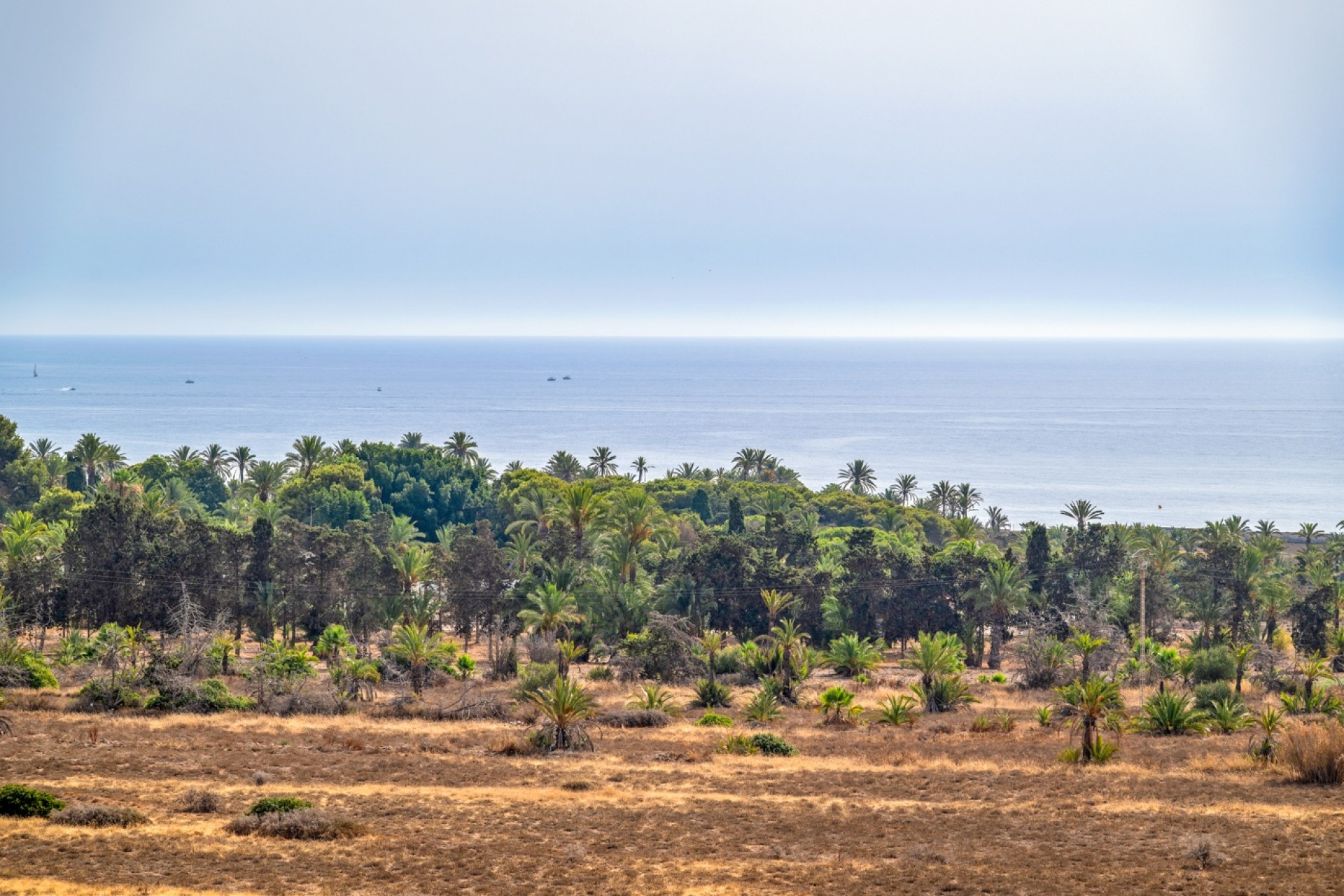 Videresalg - Leilighet - Torrevieja - Rocio del Mar