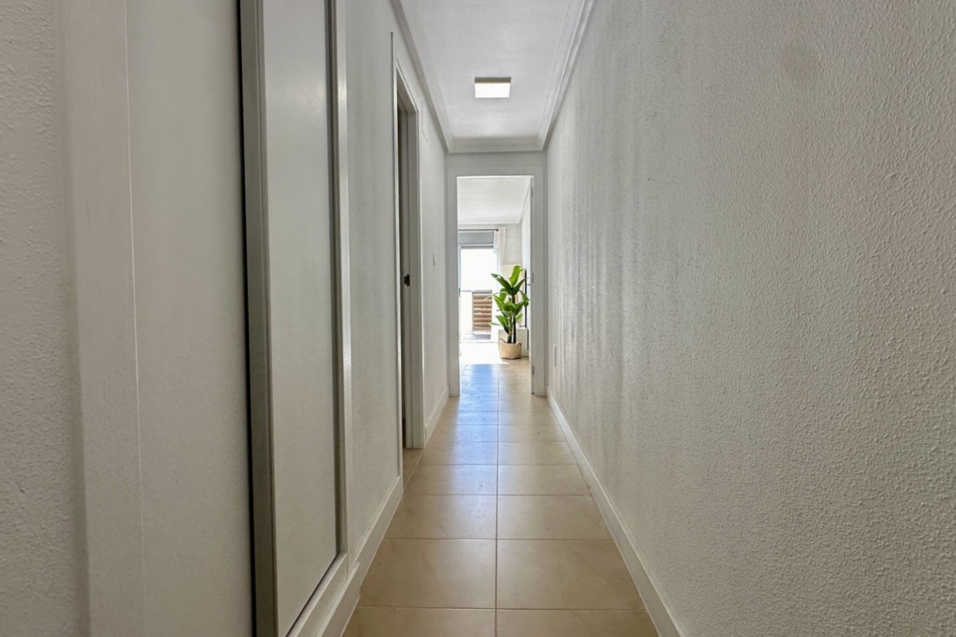 Videresalg - Leilighet - Torrevieja - Torrevieja - Centre